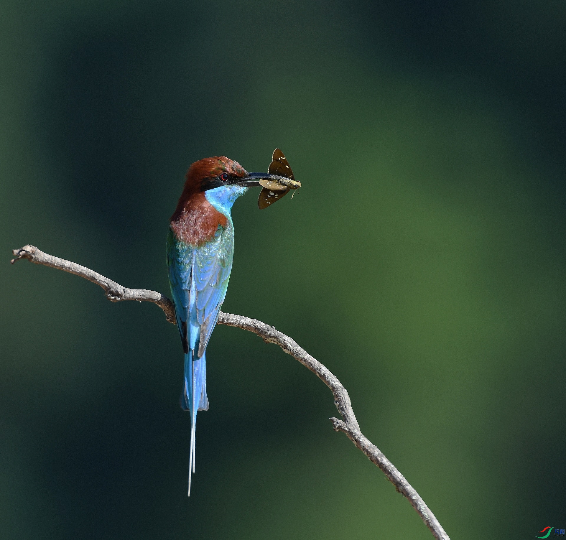 DSC_4863.jpg
