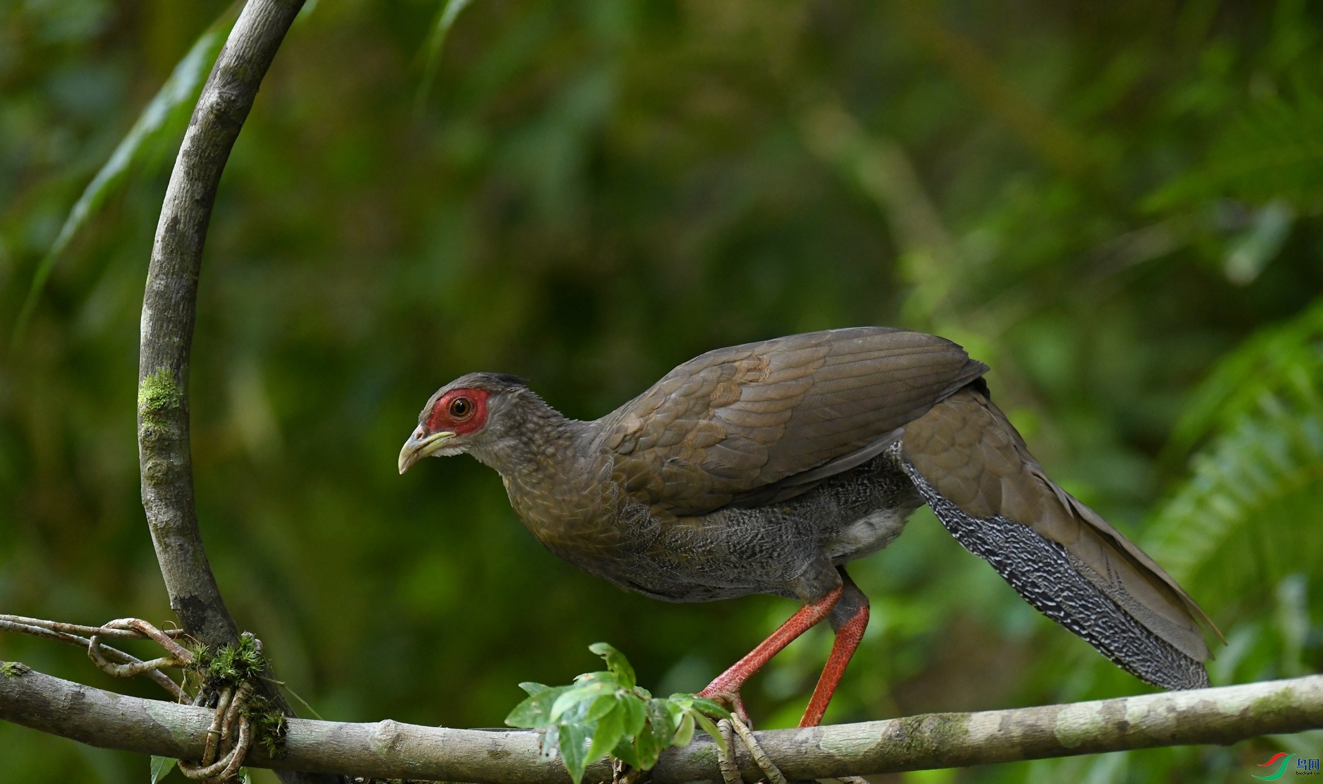 DSC_0443.jpg