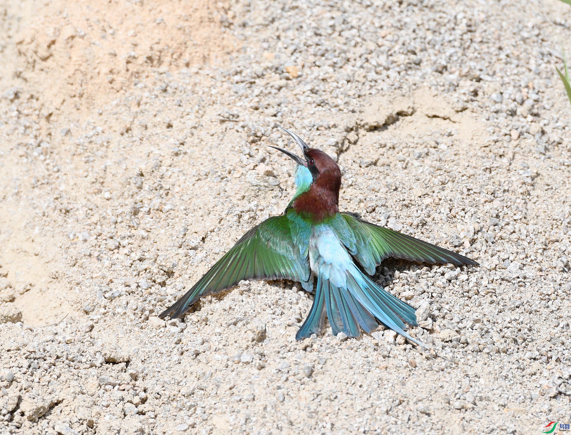 DSC_8892.jpg