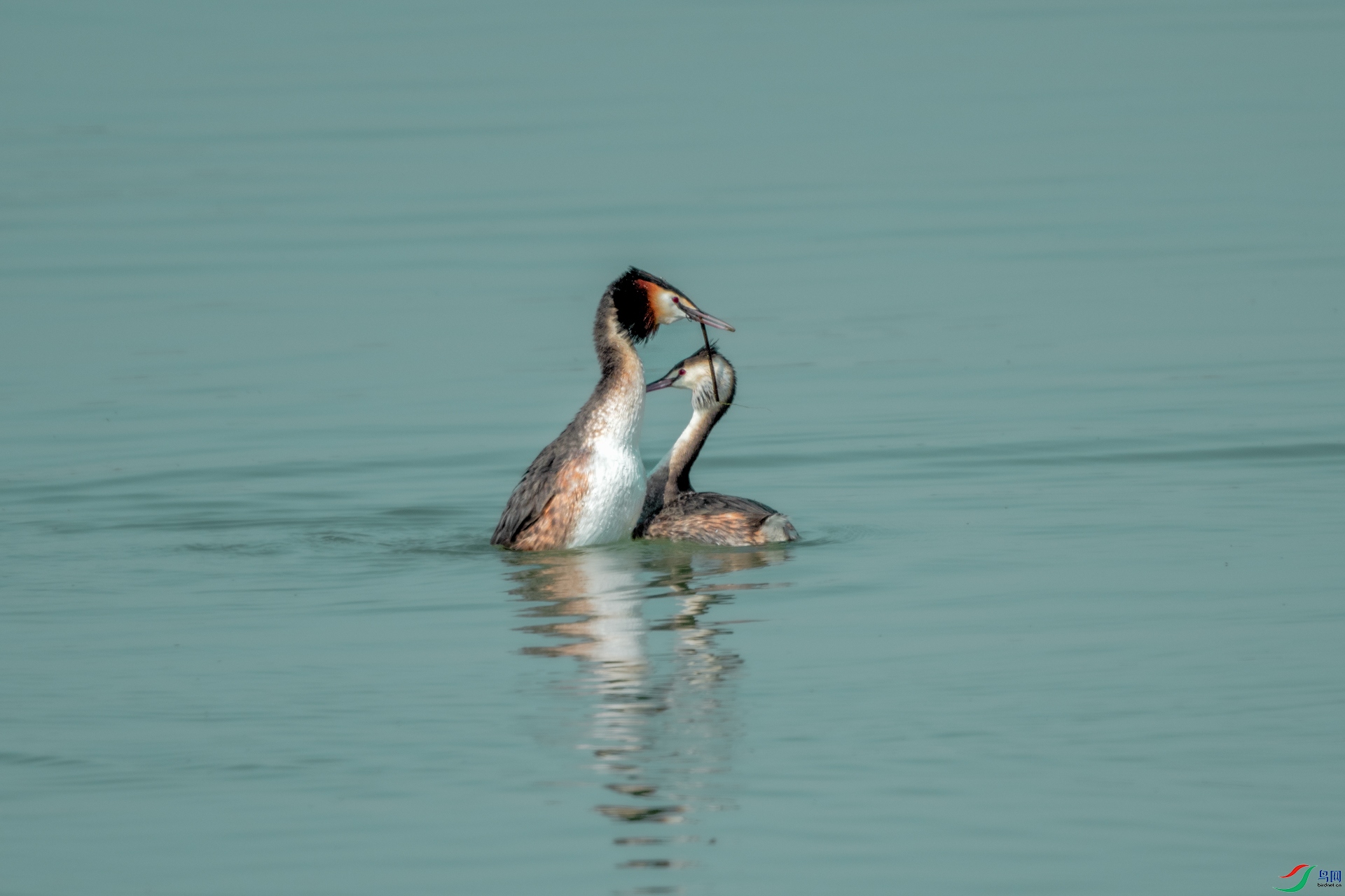 DSC_0337.jpg