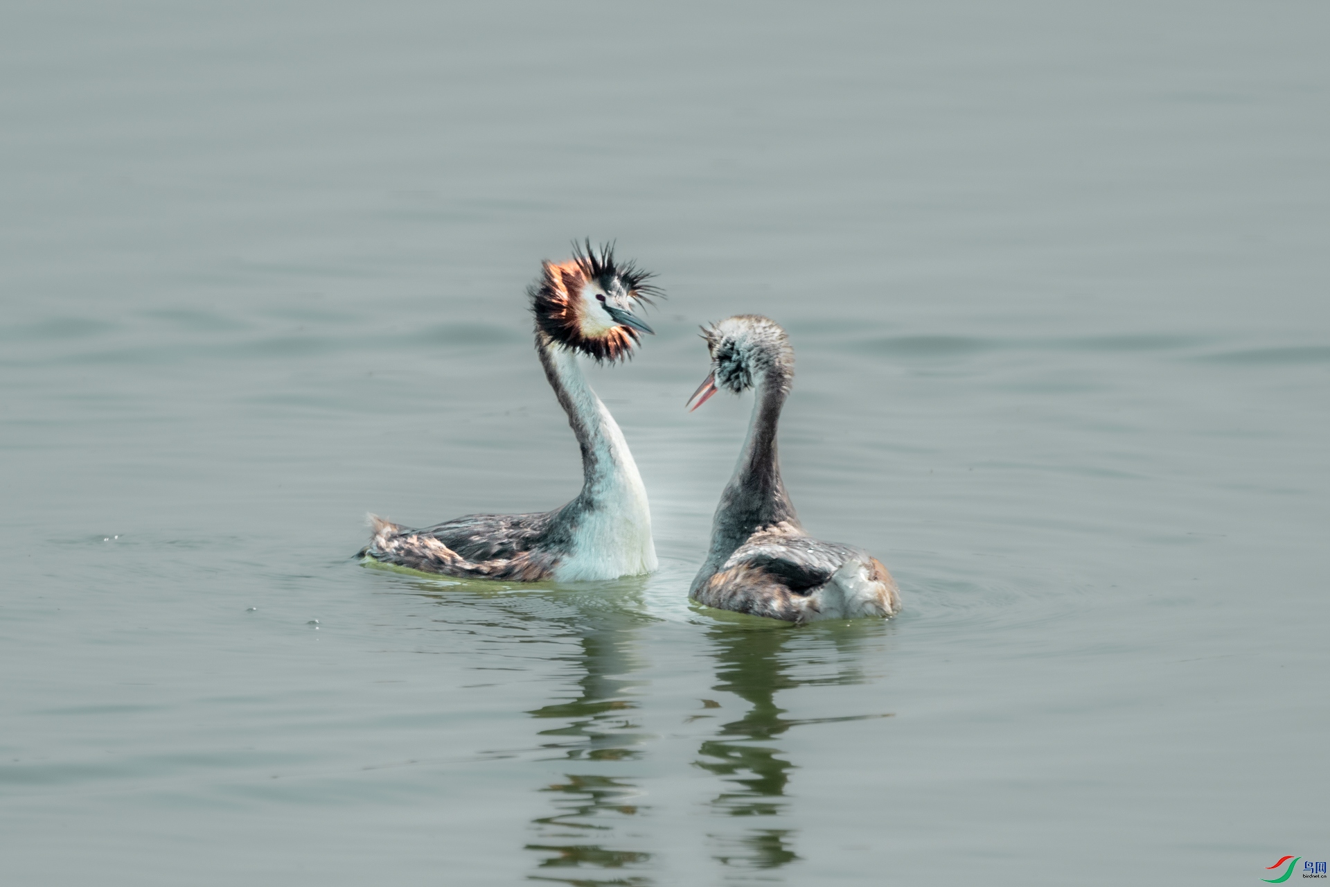 DSC_0719.jpg
