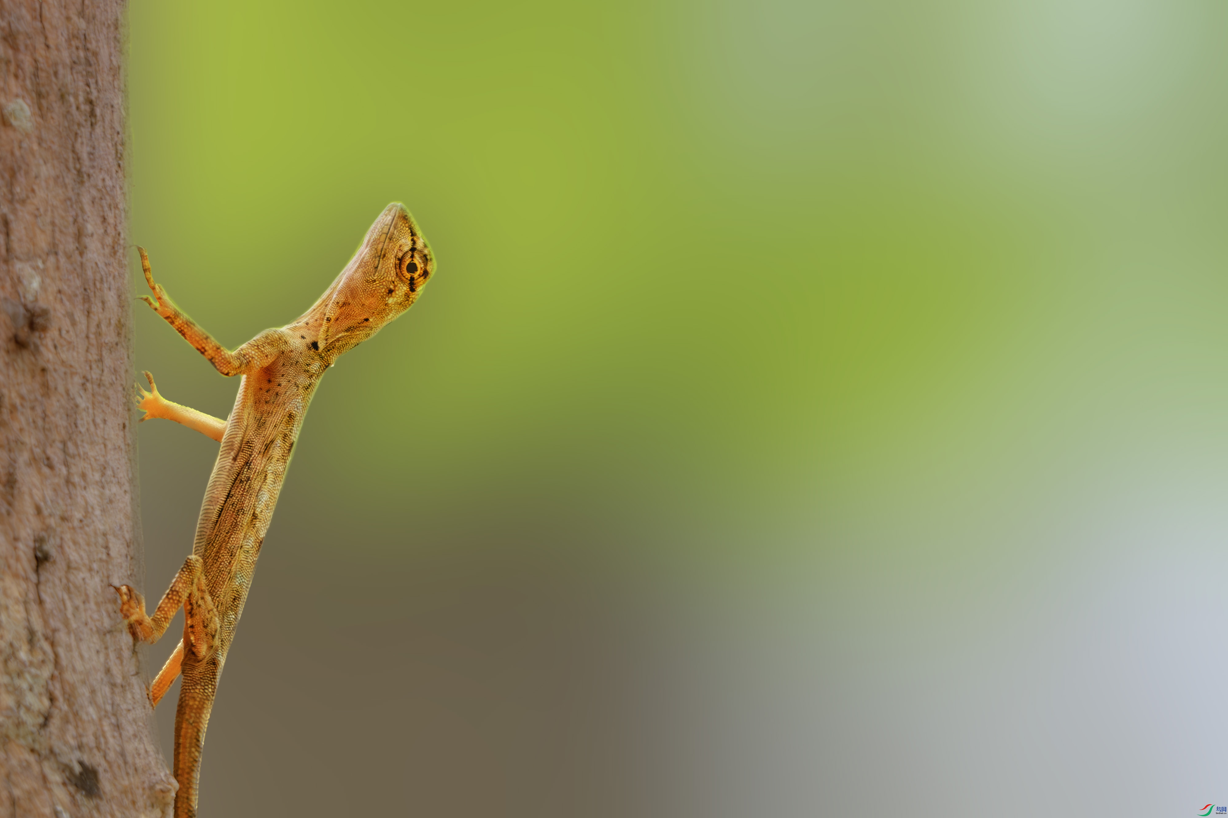 DSC_5627-����ǿ-NR ����1.jpg