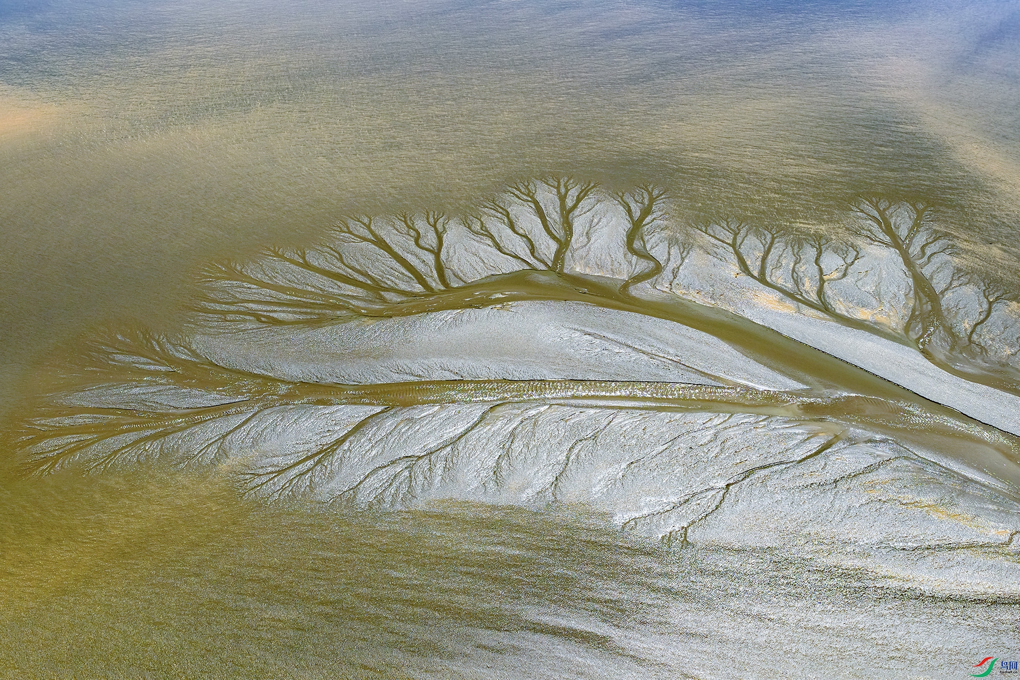 DJI_20250908112843_0296_D ���� 2.jpg