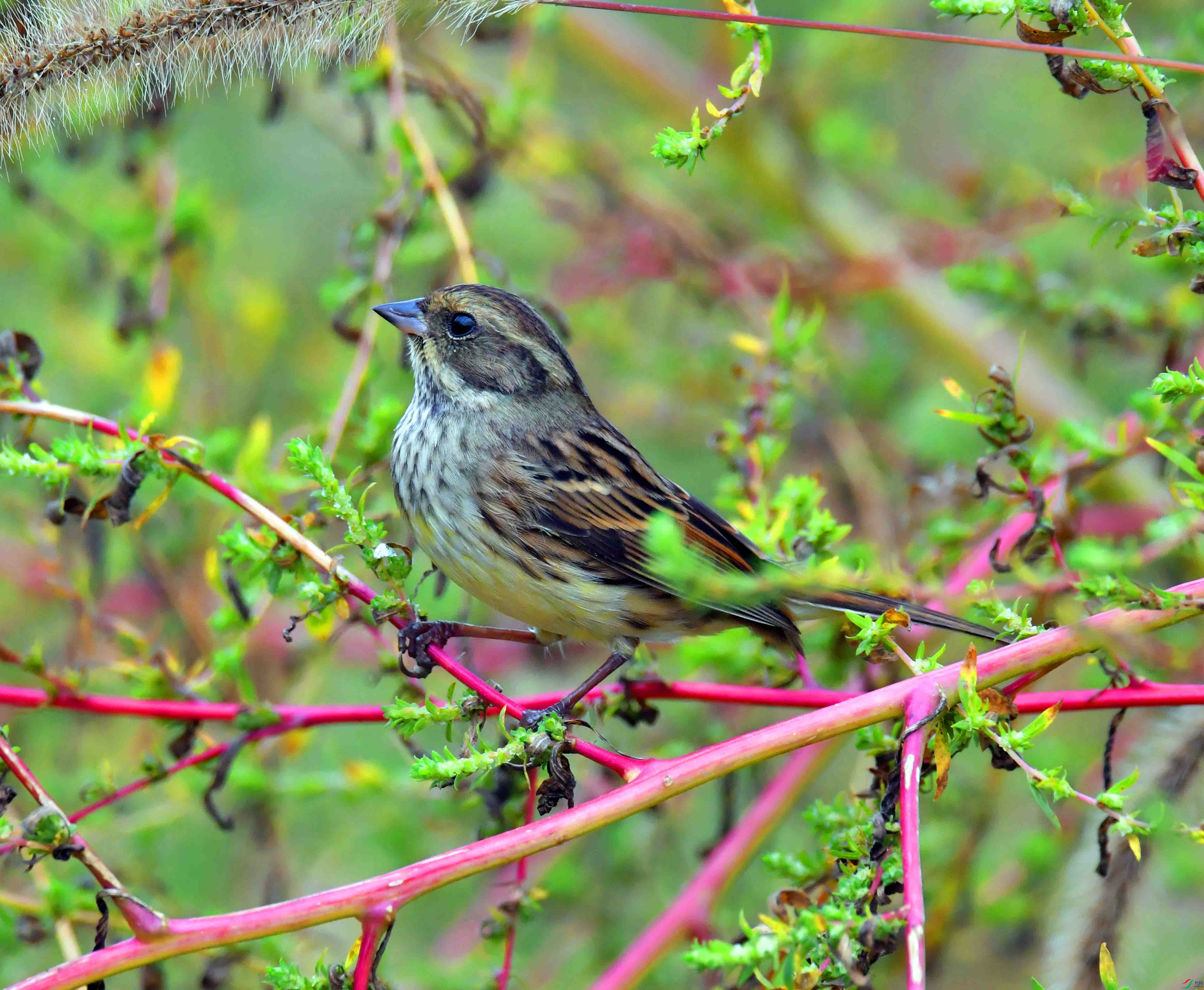 DSC_3541.JPG