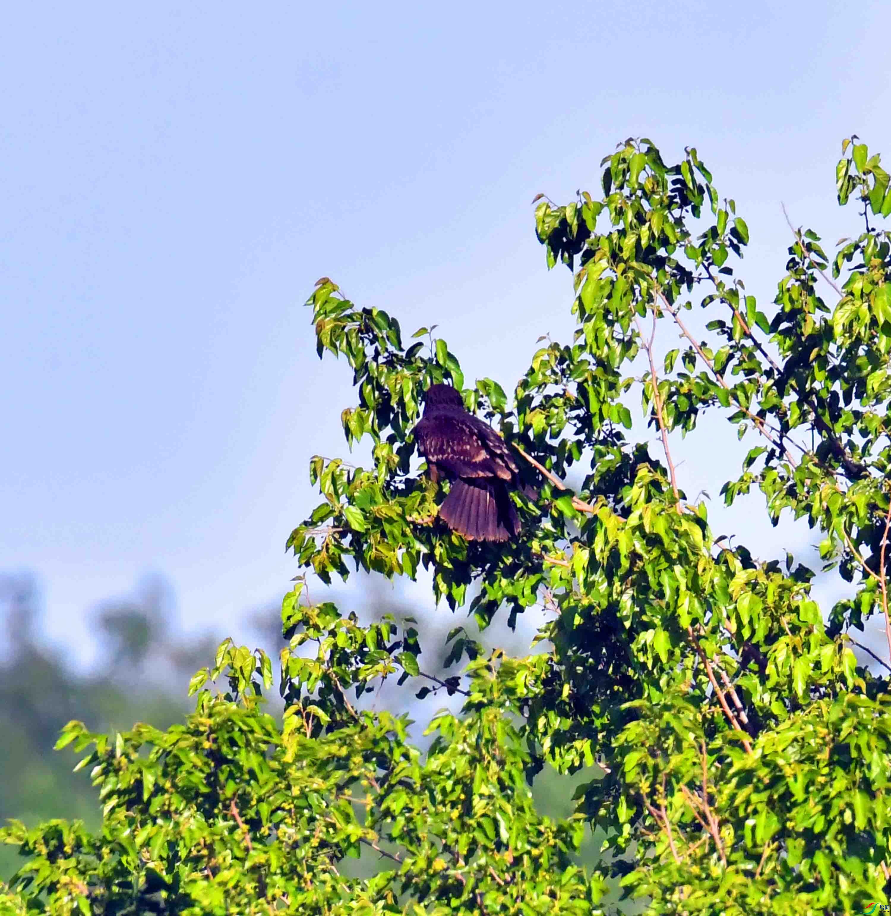 DSC_9169.JPG