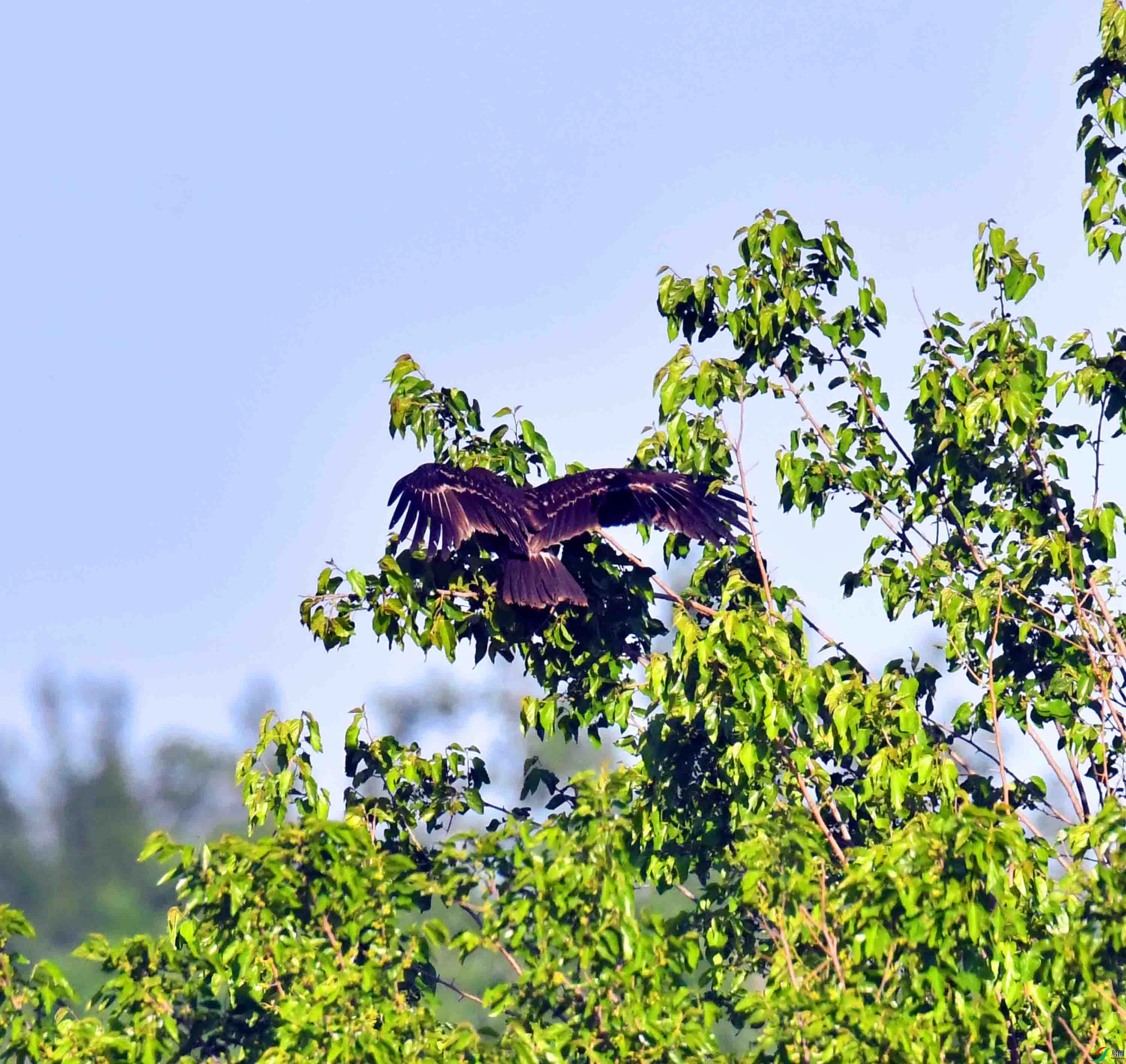 DSC_9174.JPG