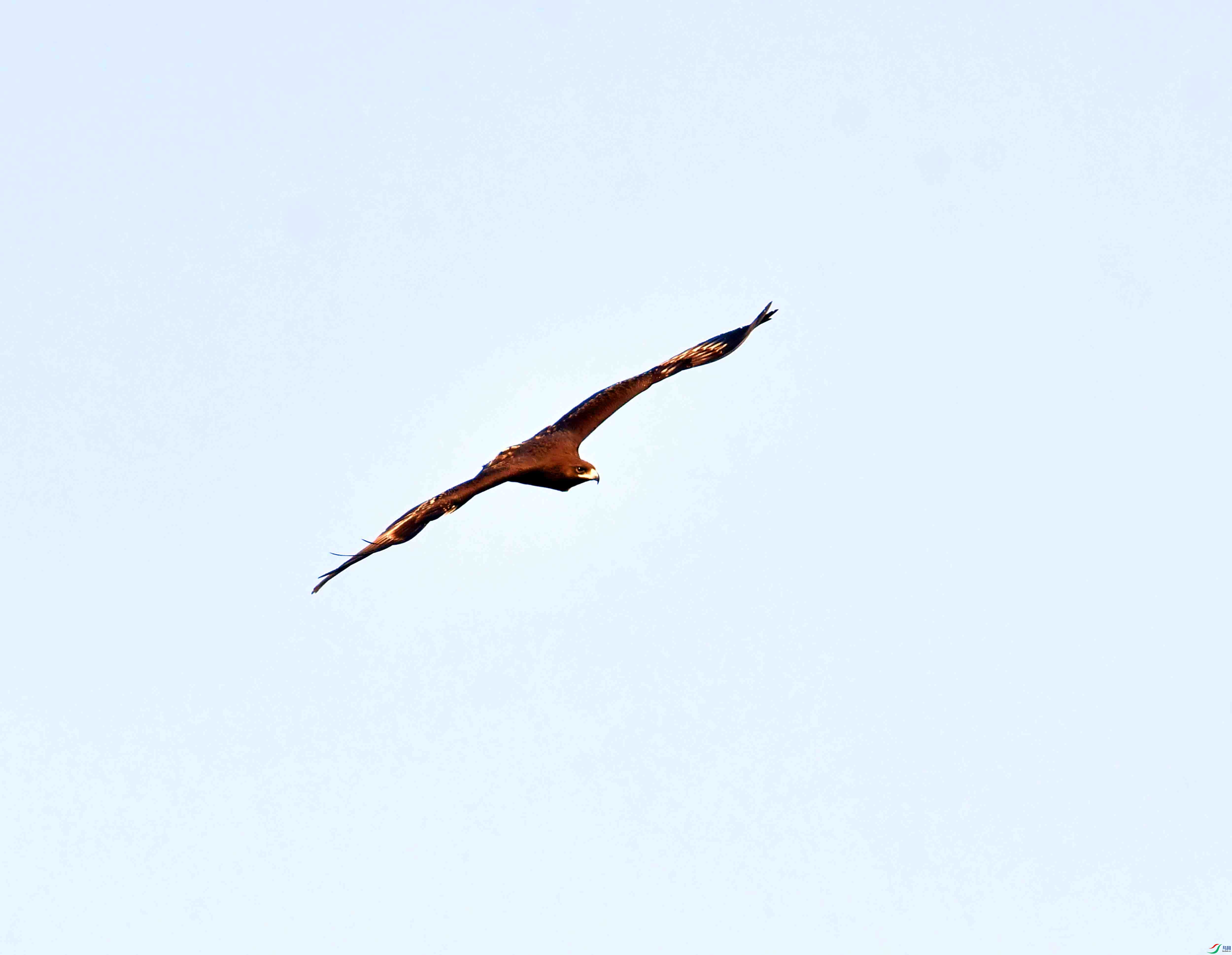 DSC_9313.JPG
