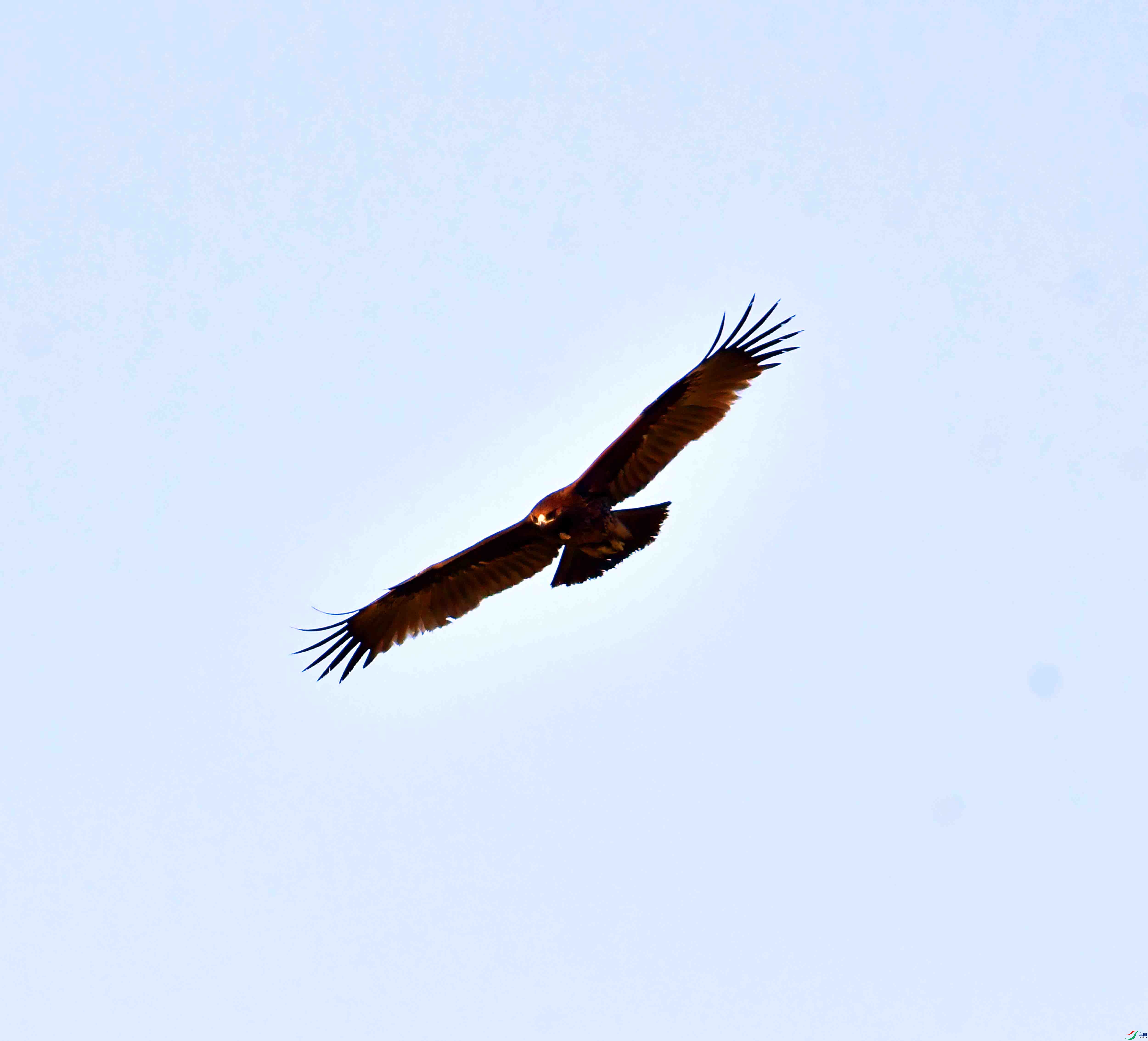 DSC_9317.JPG