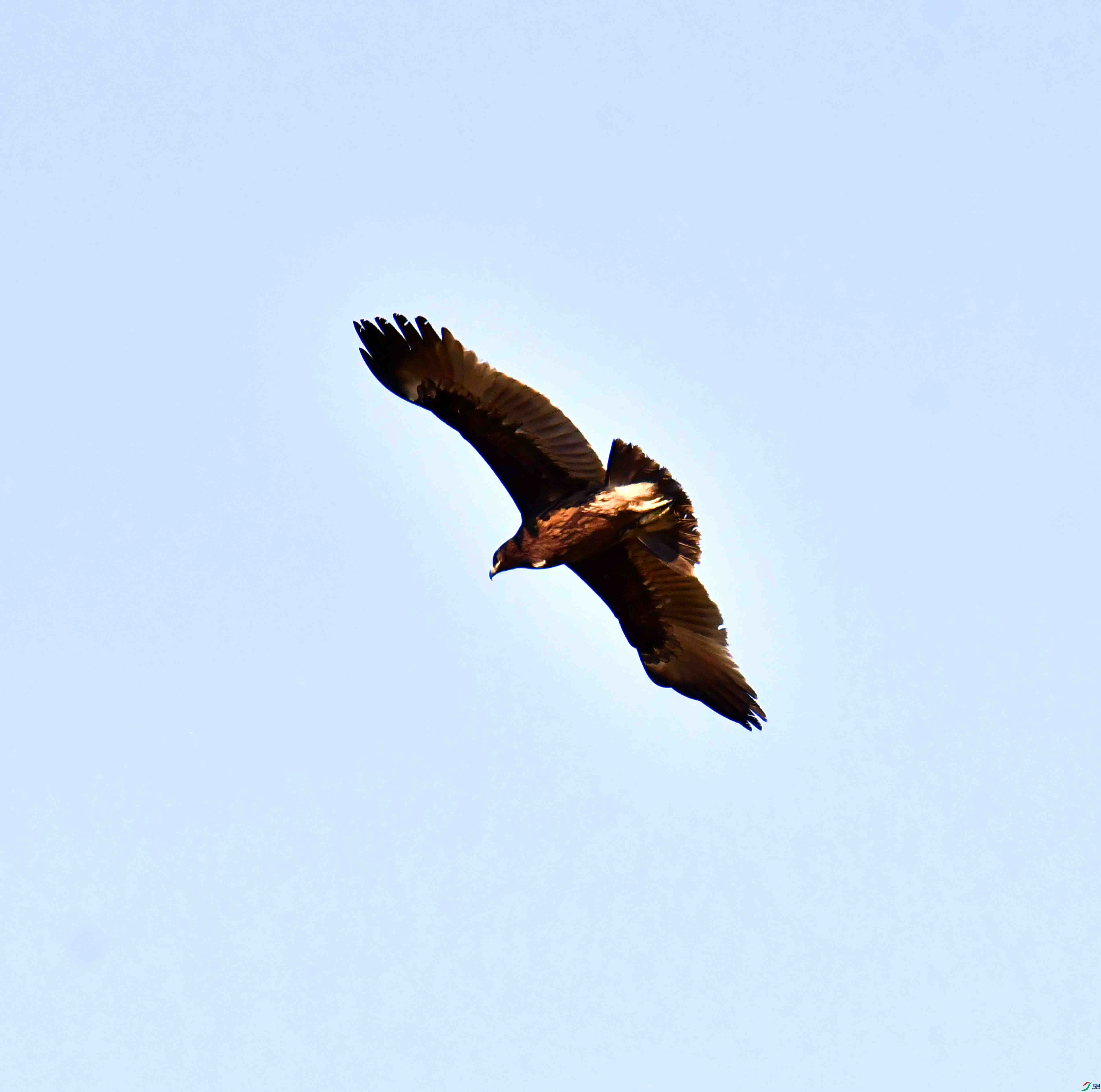 DSC_9324.JPG