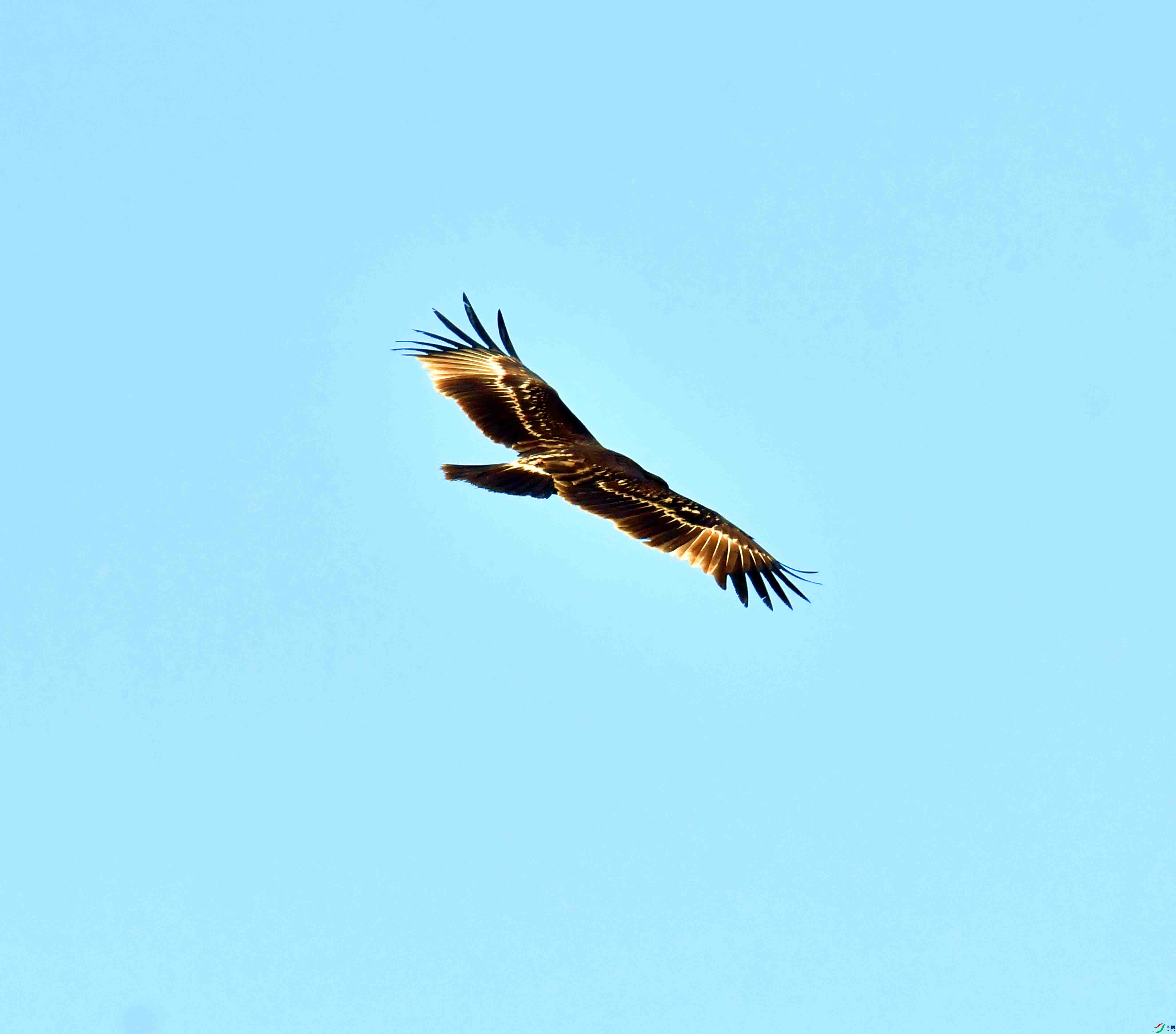 DSC_9325.JPG