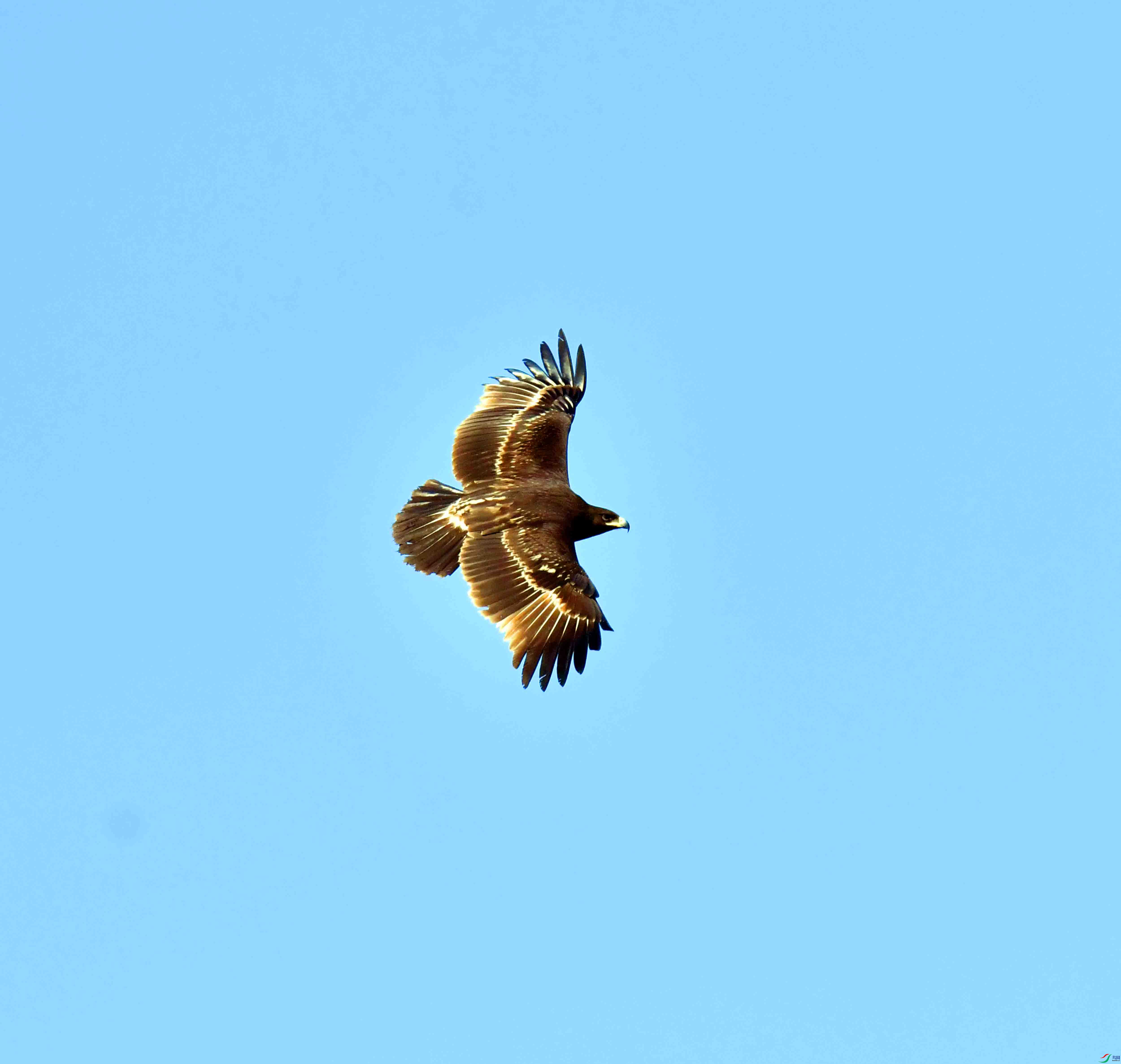 DSC_9328.JPG