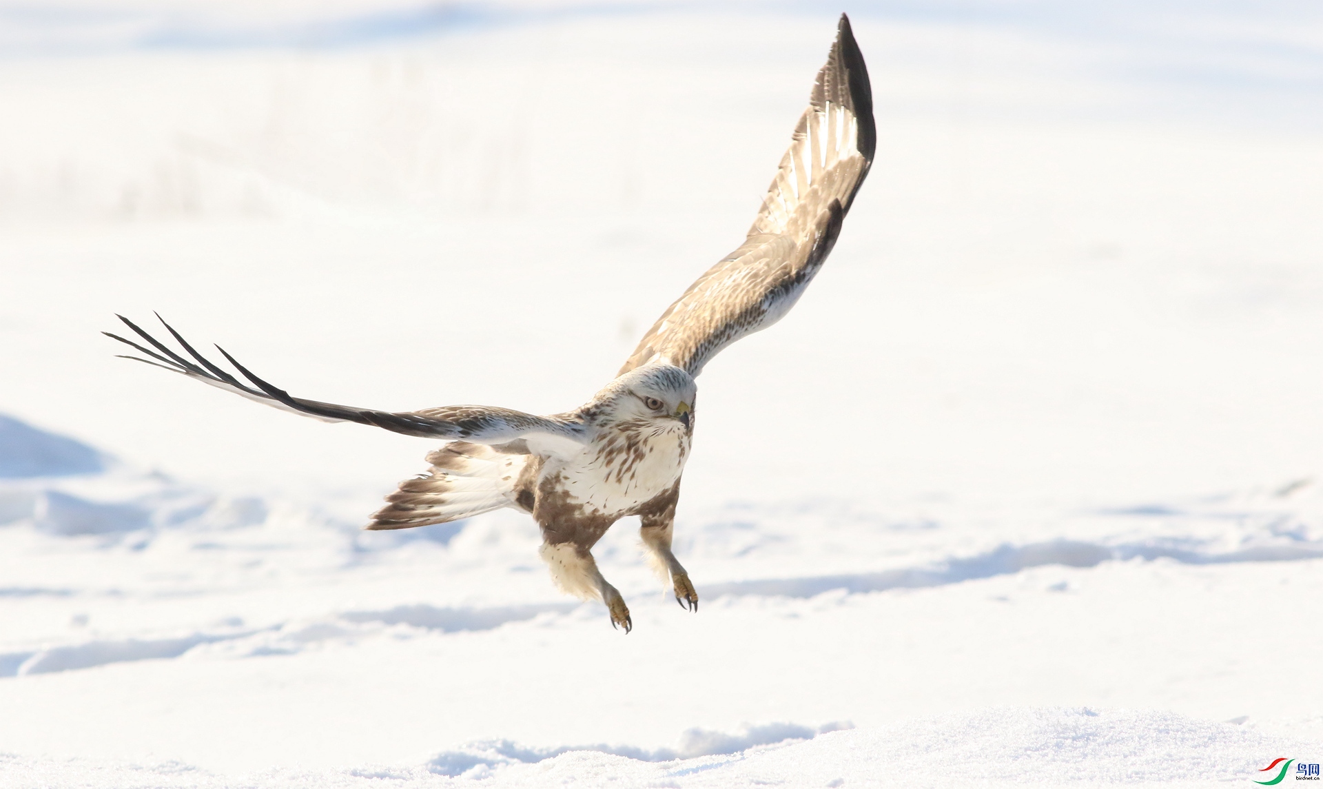 0G1A7644 ����.jpg