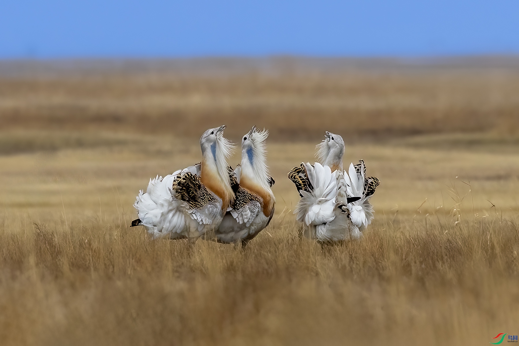 488A8504 ���� 2.jpg