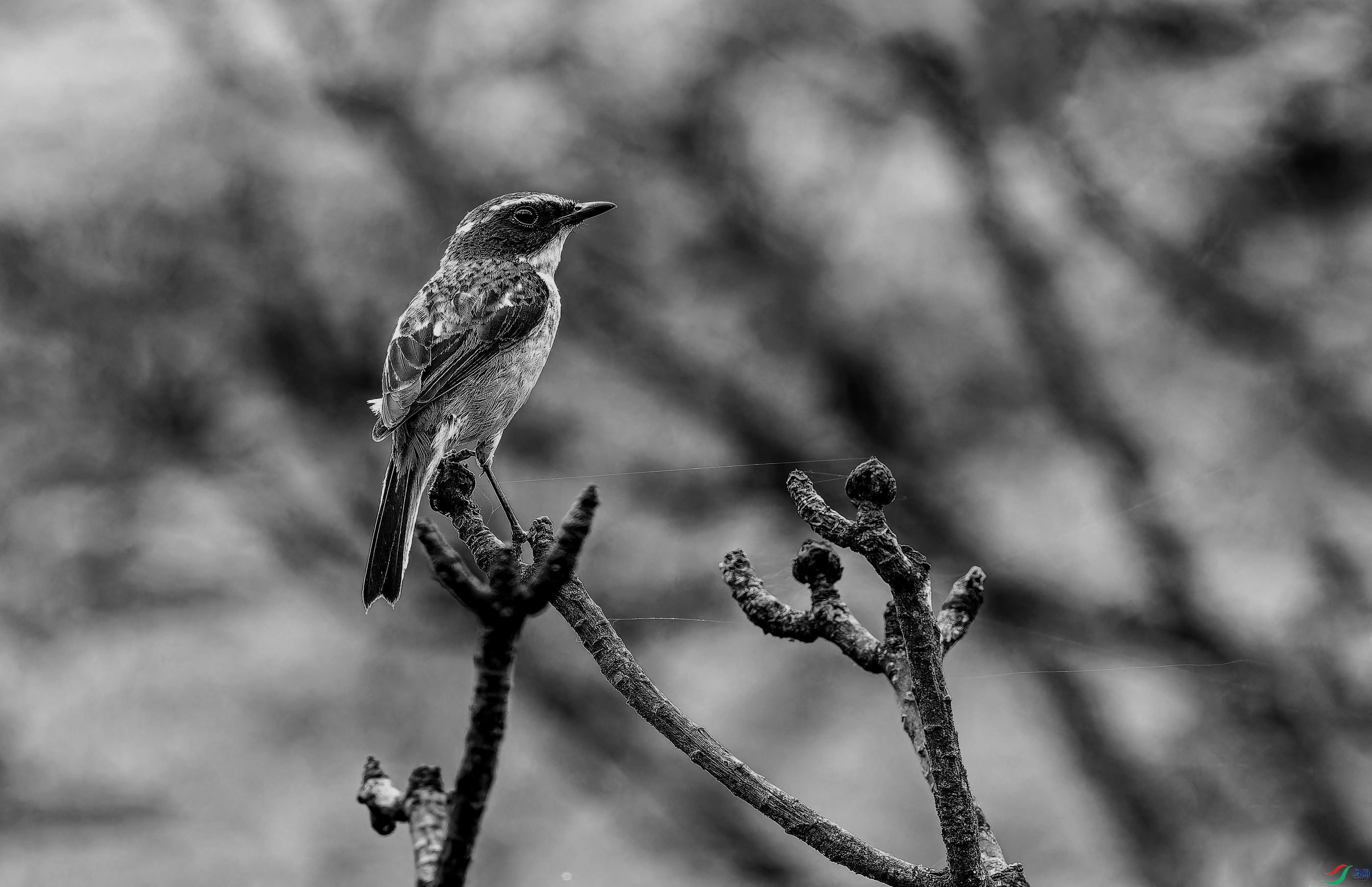 ����-01-01.jpg