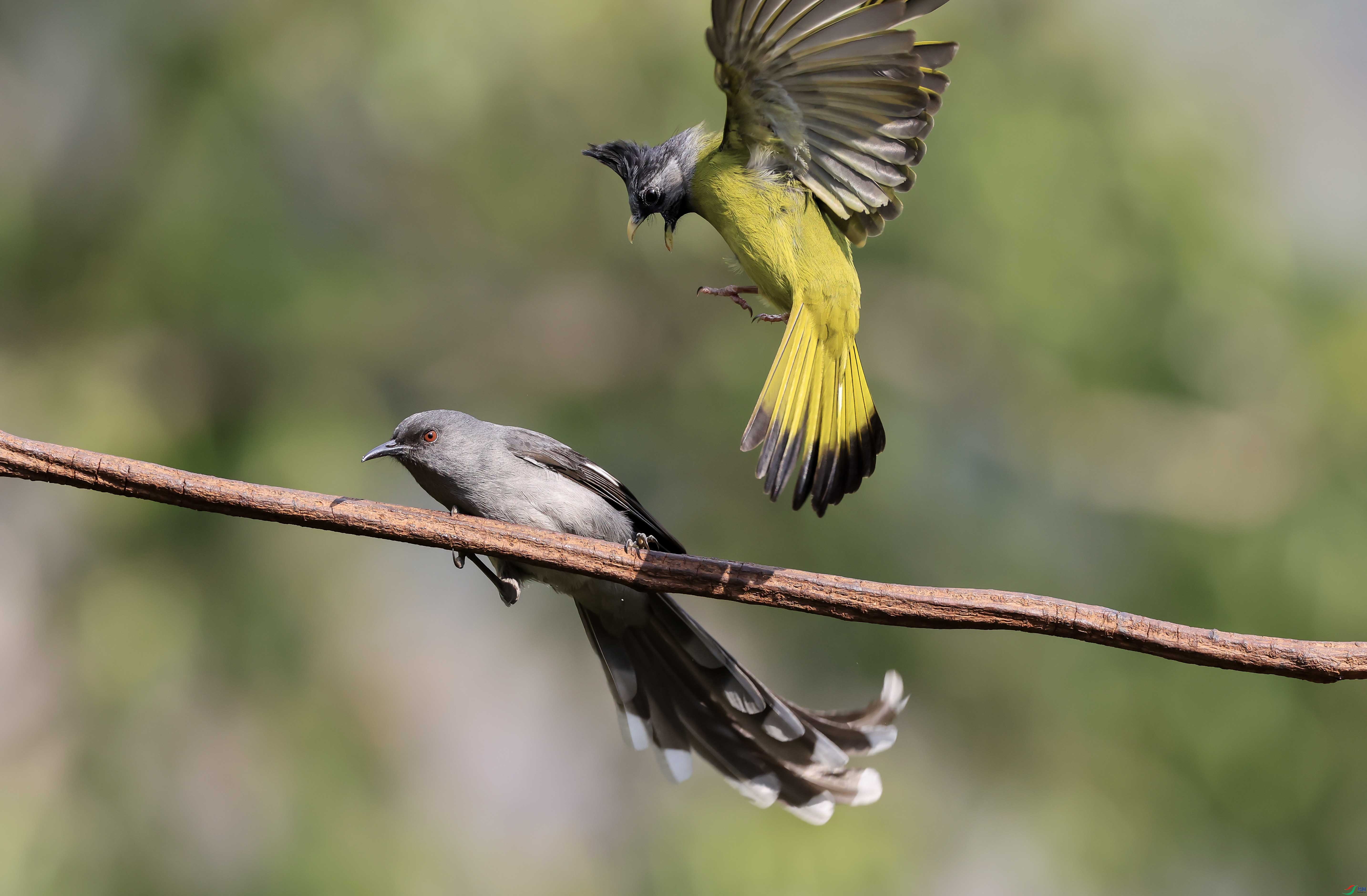 1-xt4L2A0193 ����.jpg