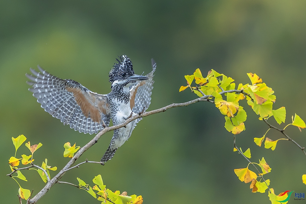 0F7A3518 ����.jpg