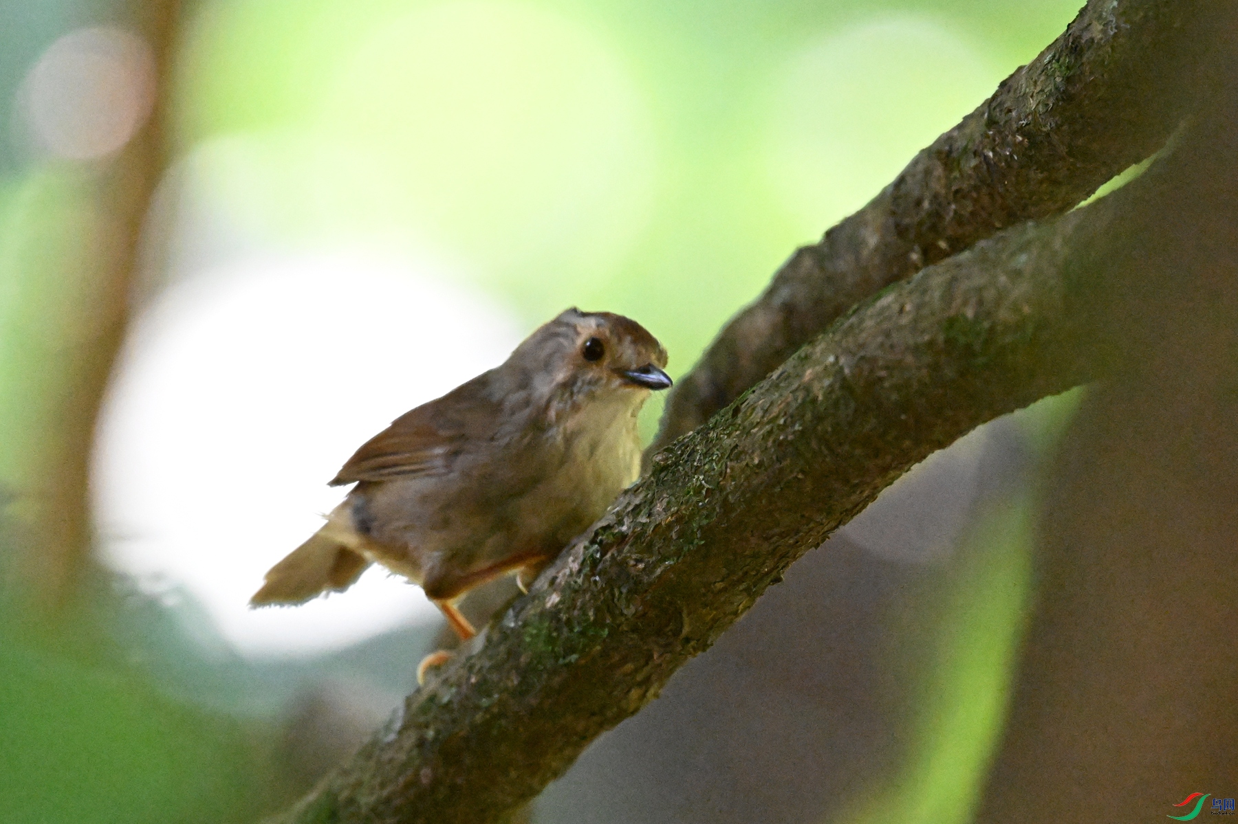 DSC_8843.JPG