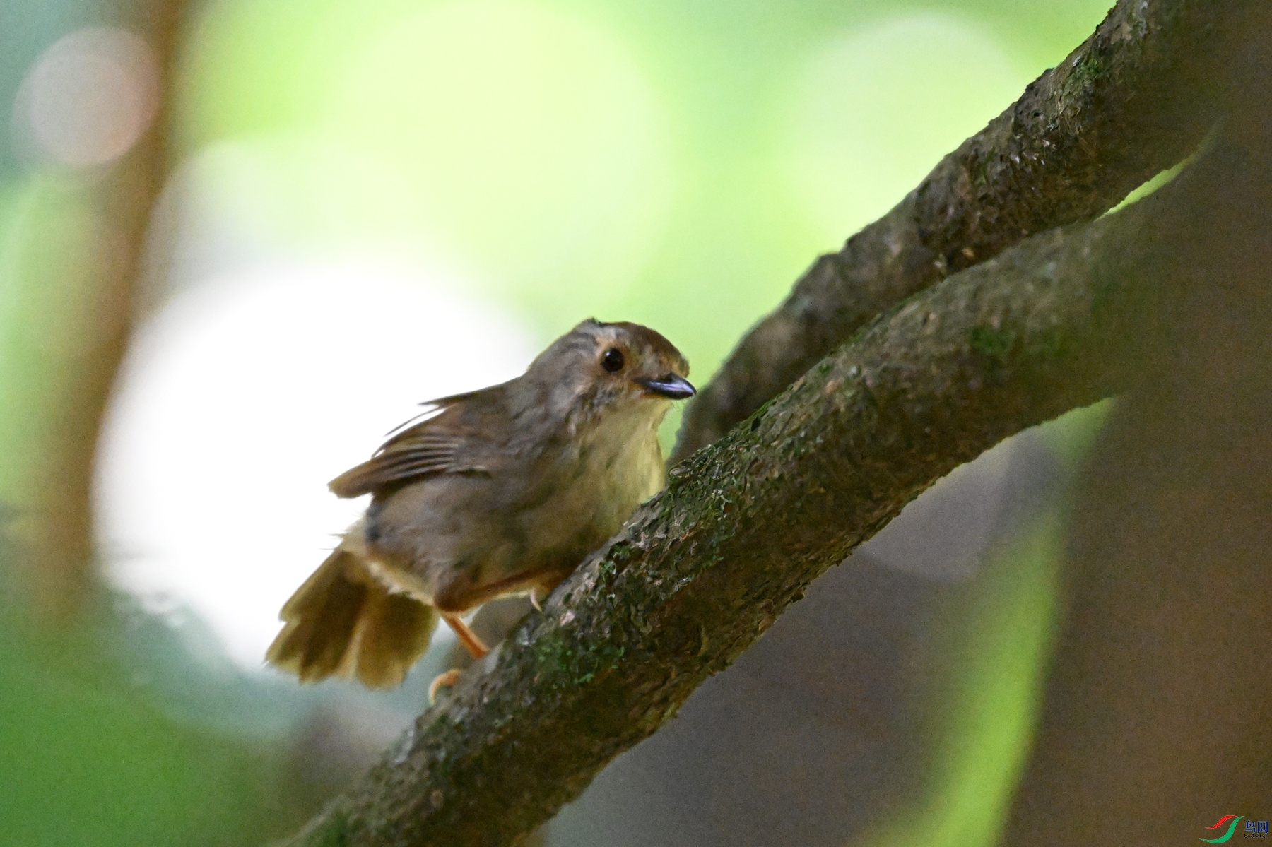 DSC_8842.JPG