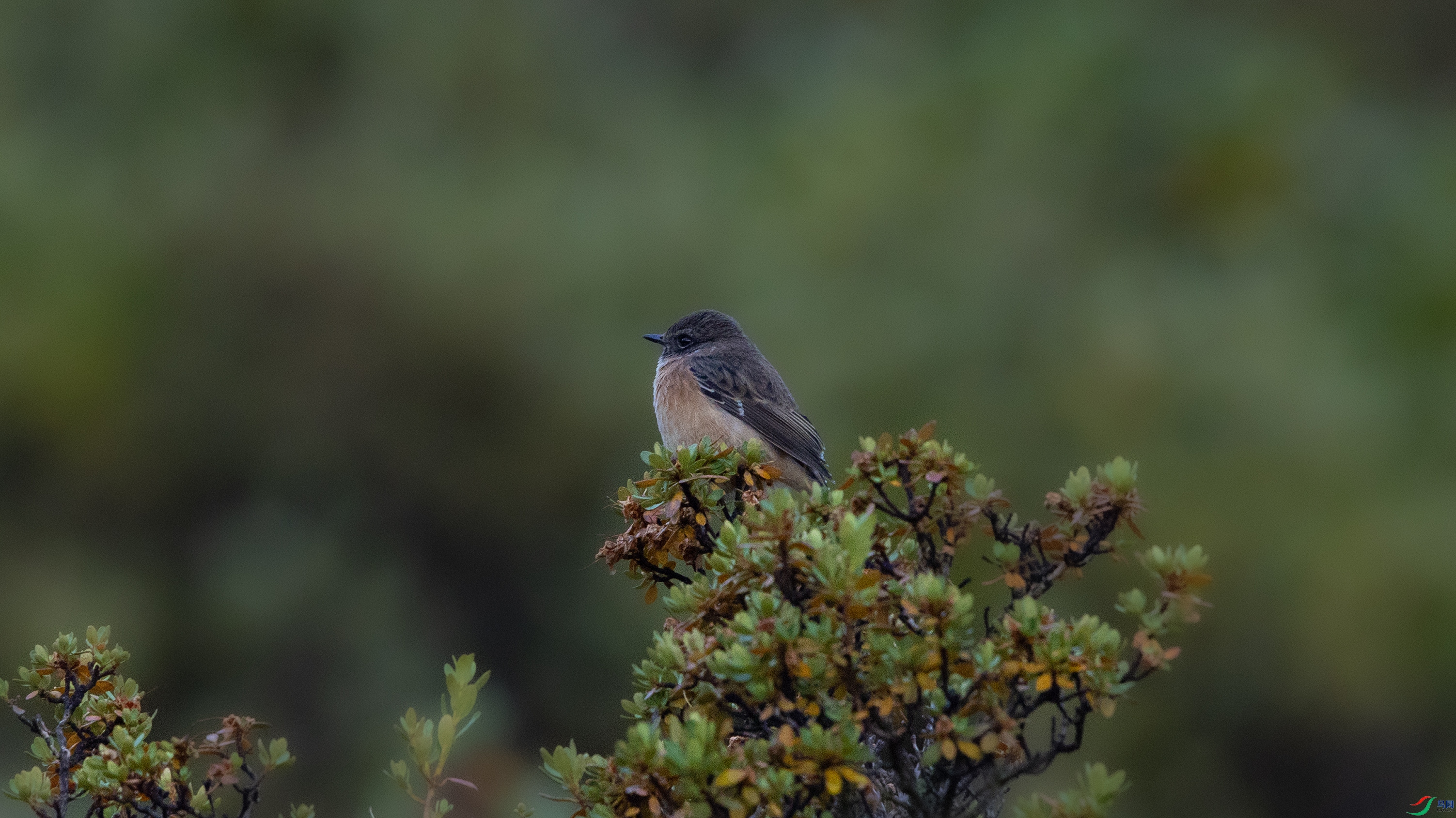 _O7A4990 ����.jpg