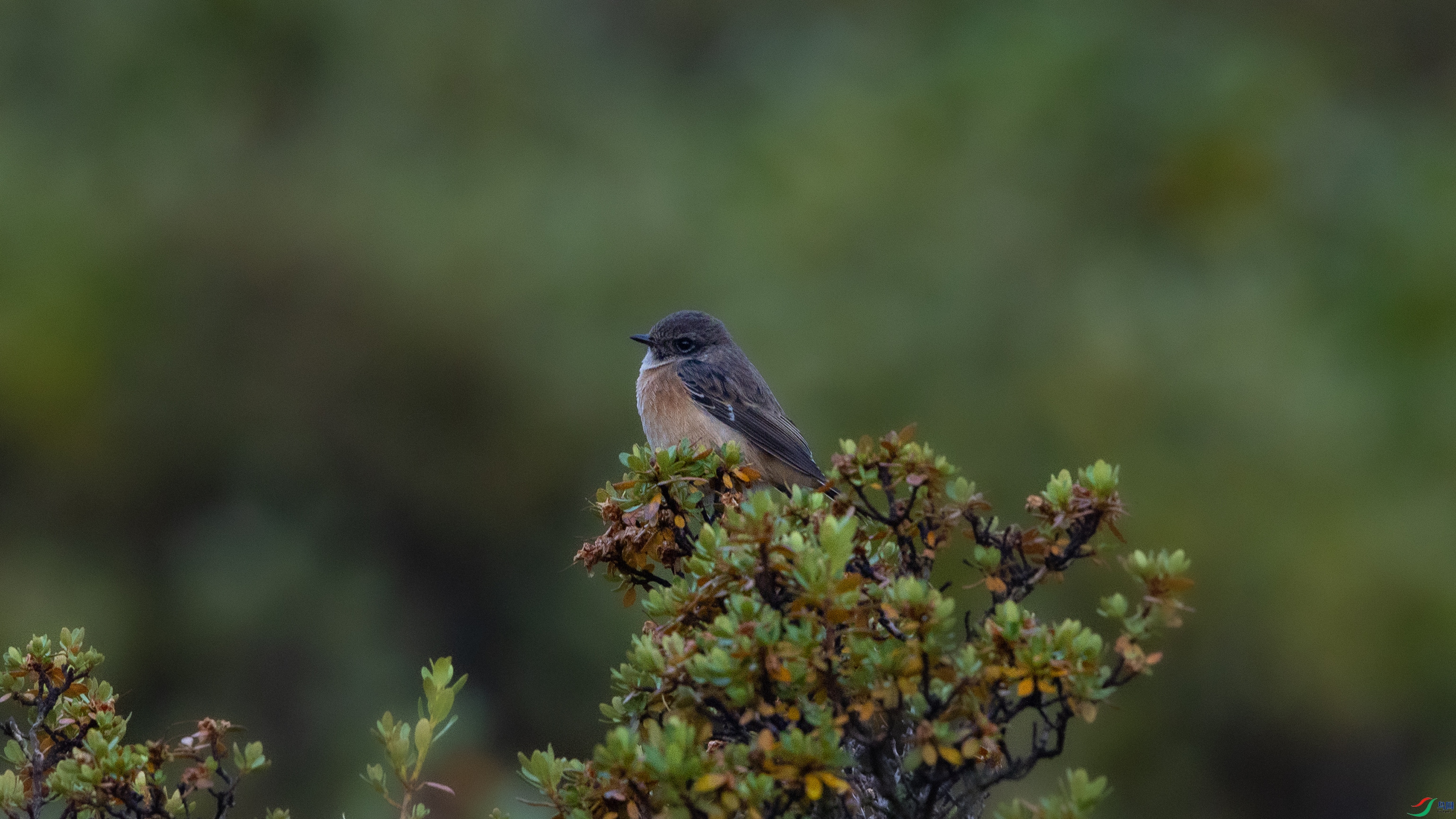 _O7A4994 ����.jpg