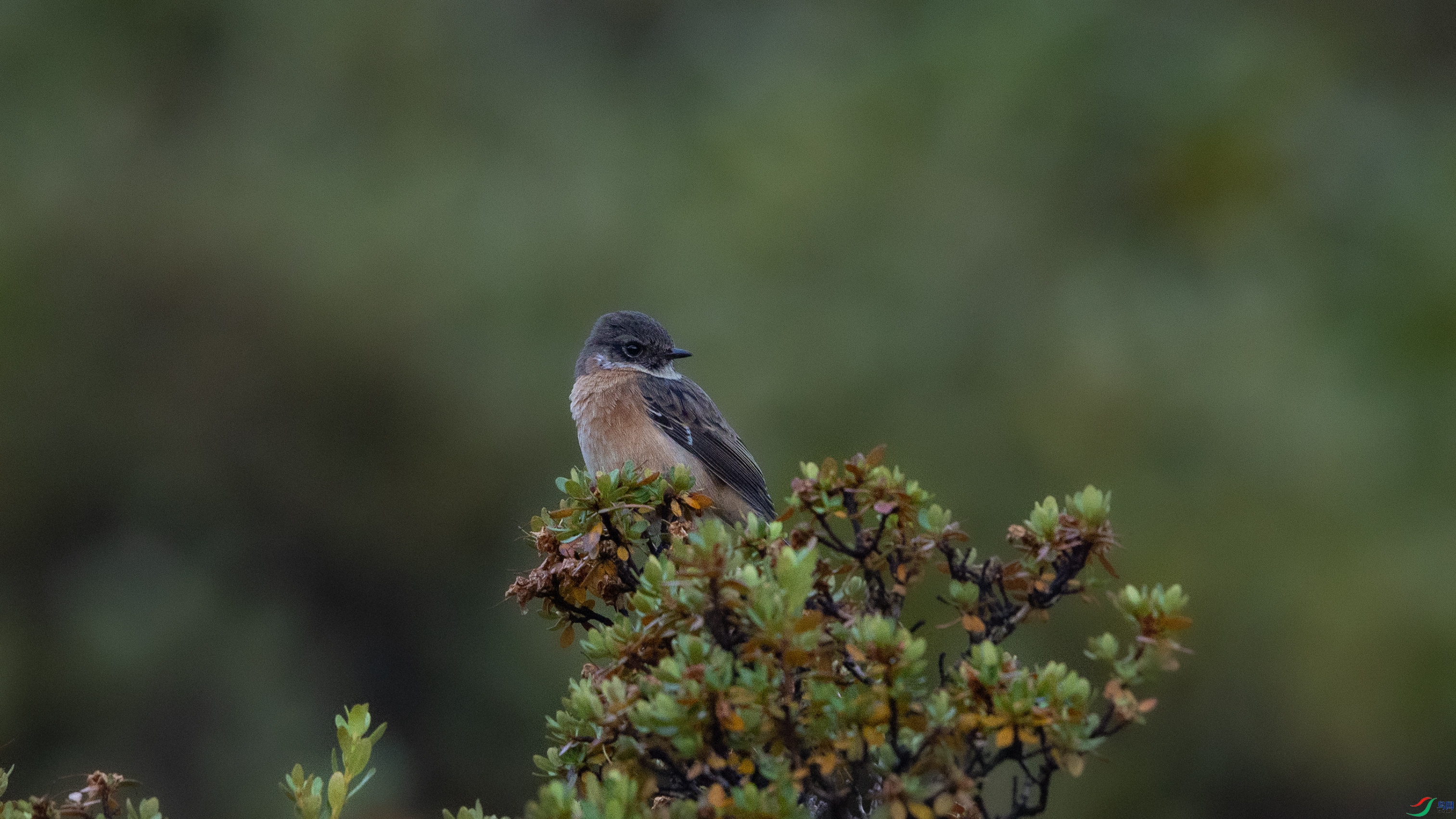 _O7A4996 ����.jpg