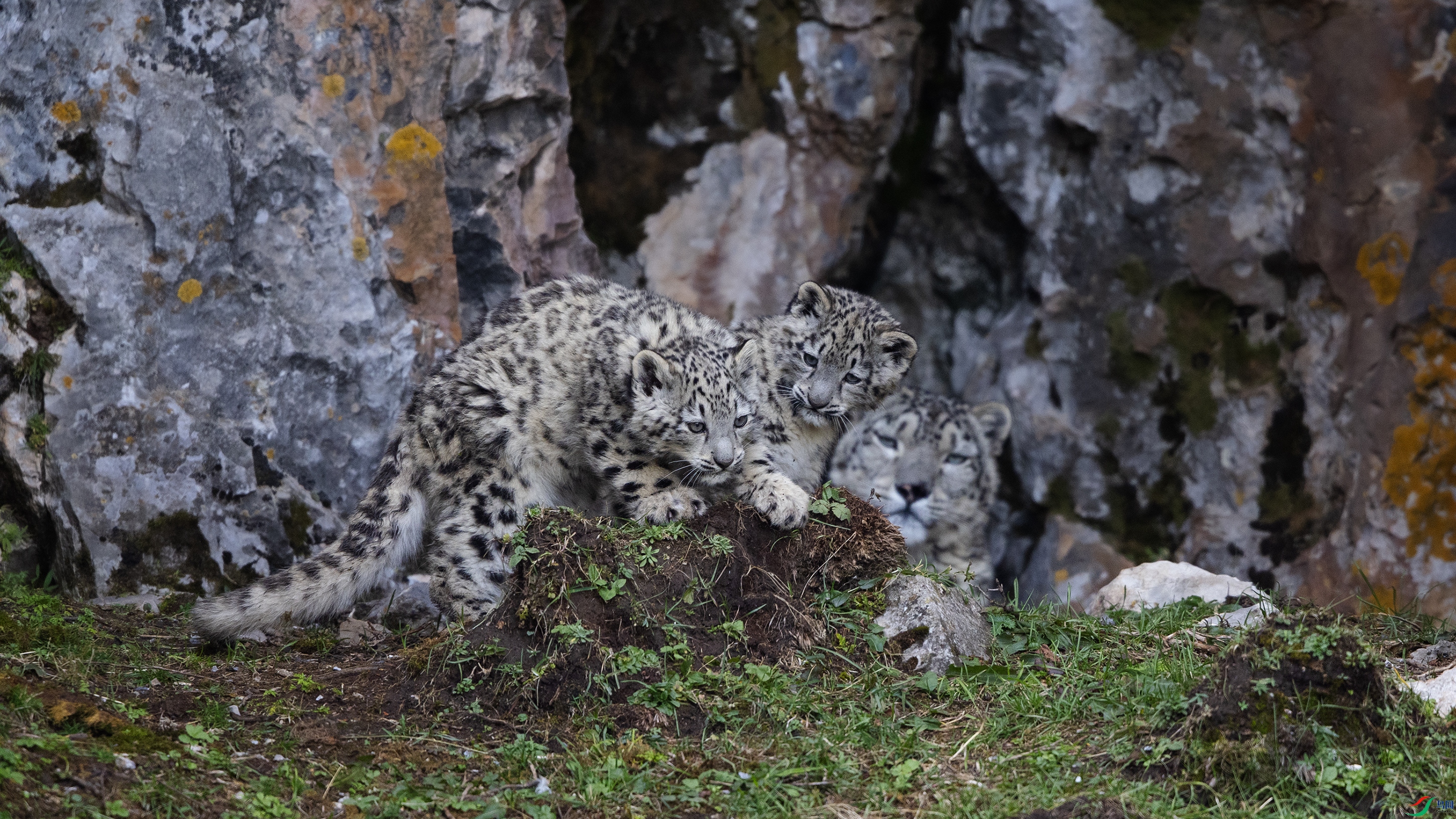 _O7A6516 ����4444.jpg