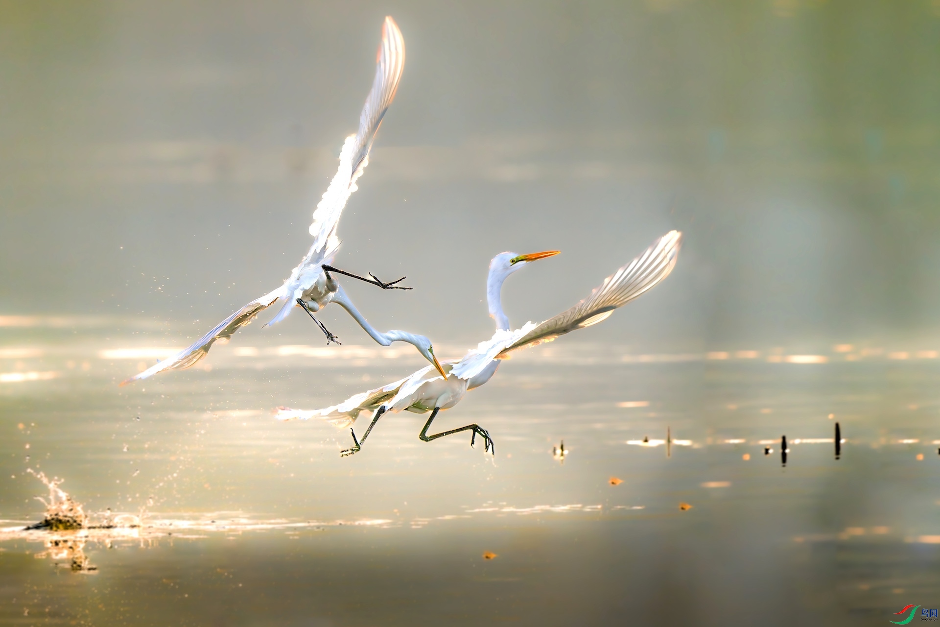 _DSC0611-����ǿ-NR-1 2.jpeg