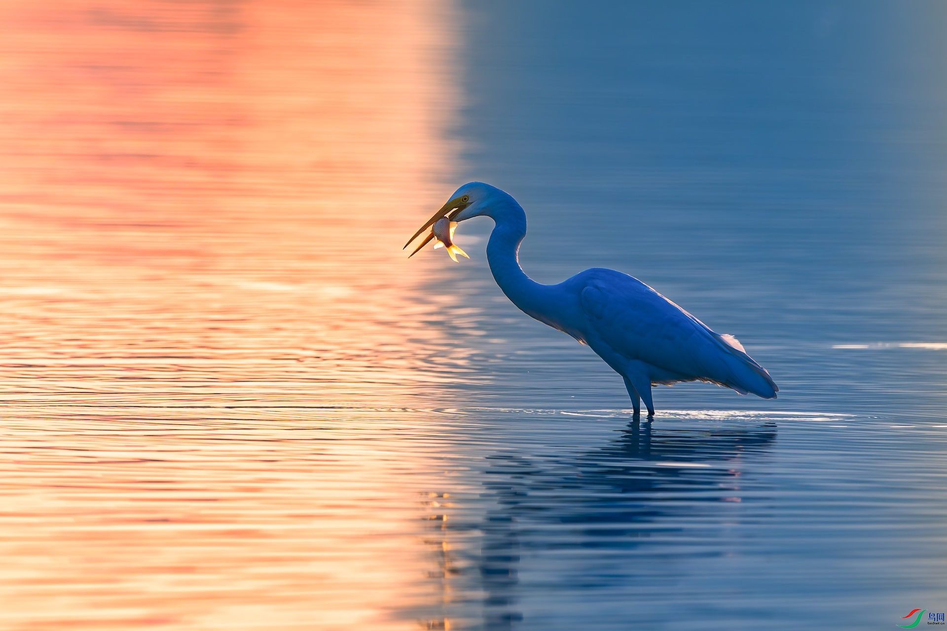 _DSC0569-����ǿ-NR-1 2.jpeg