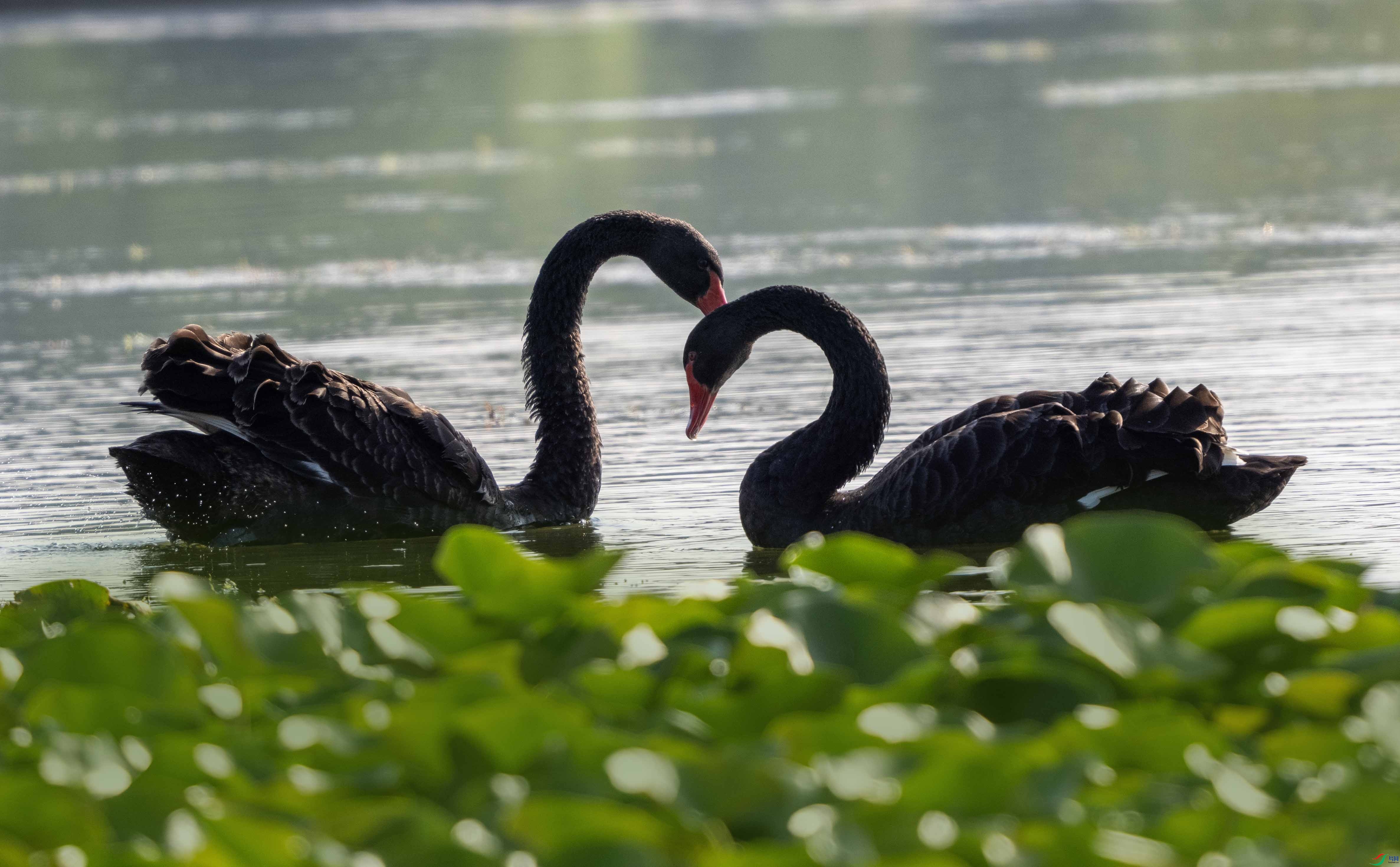 1-xtP9091423 ����.jpg