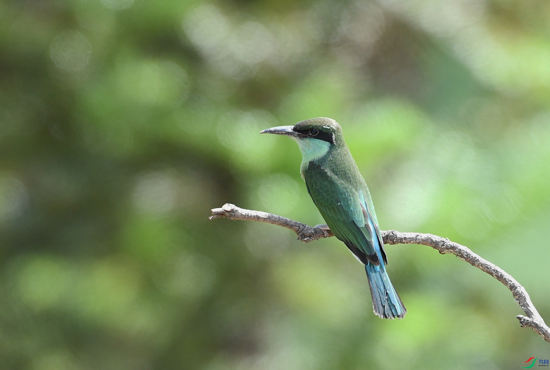 DSC_8841.jpg
