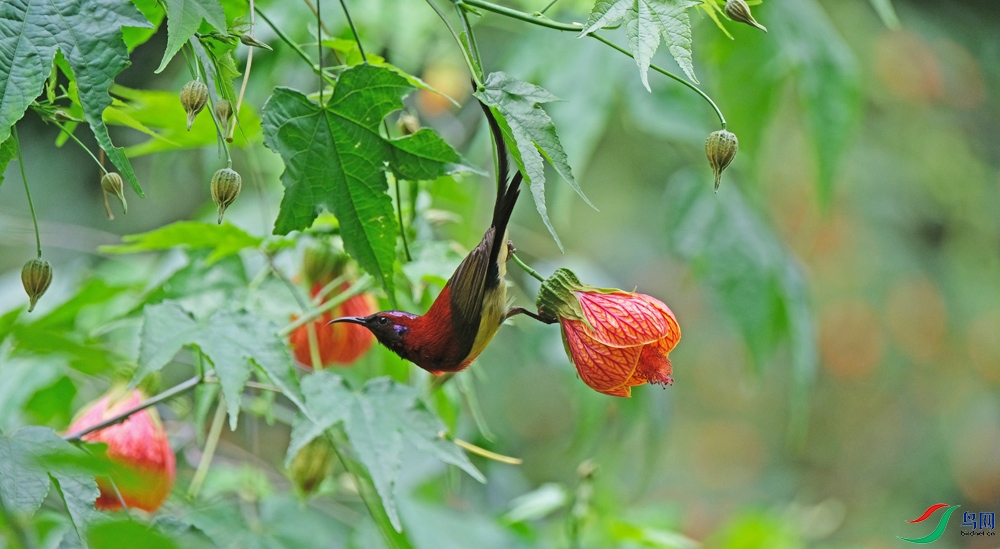 DSCF7822.1.jpg