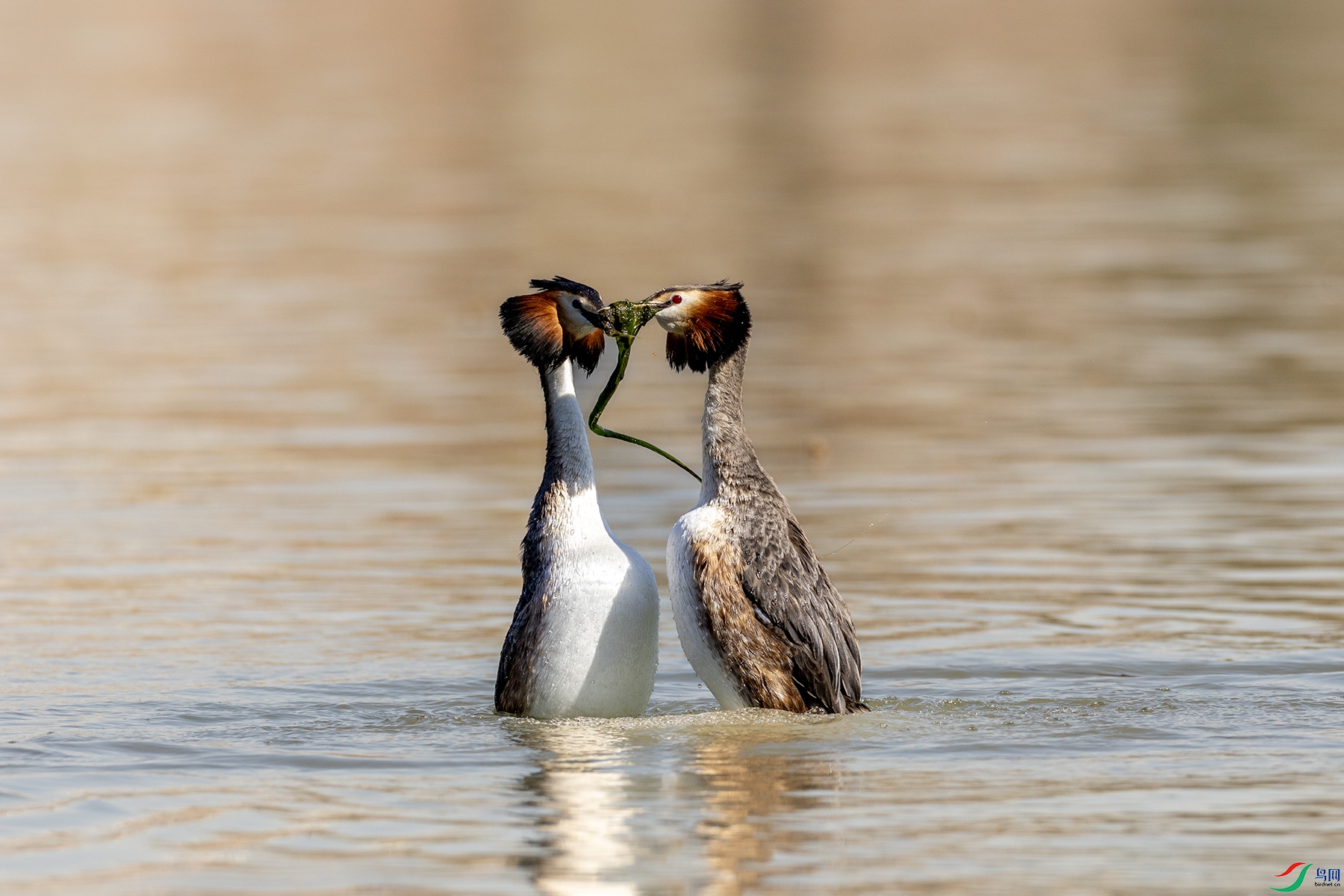 488A6635 ����.jpg