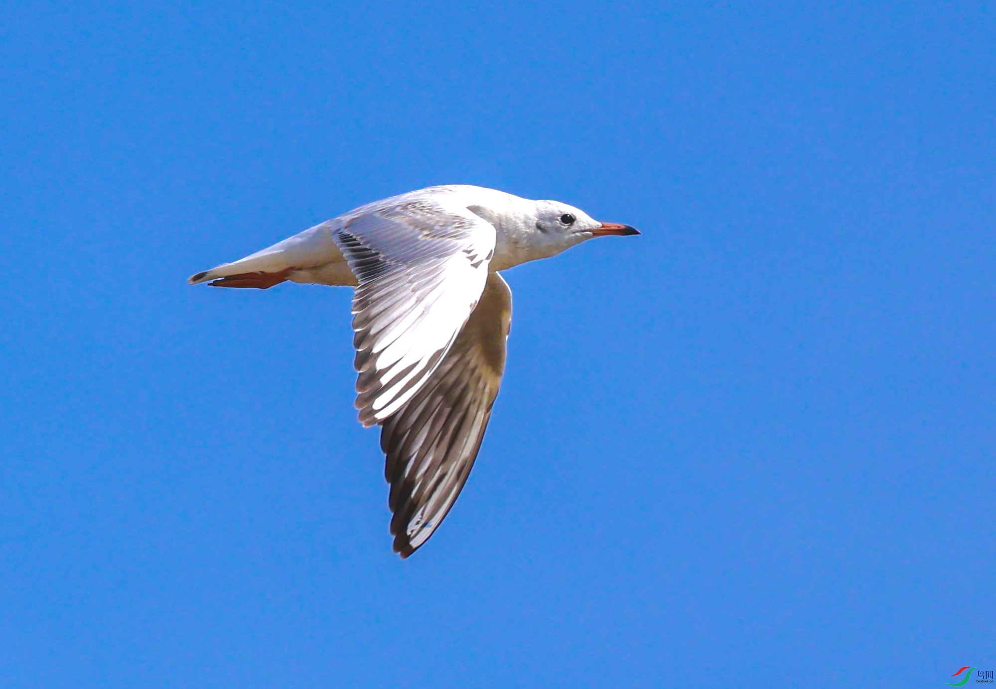 558A3705 ����.jpg