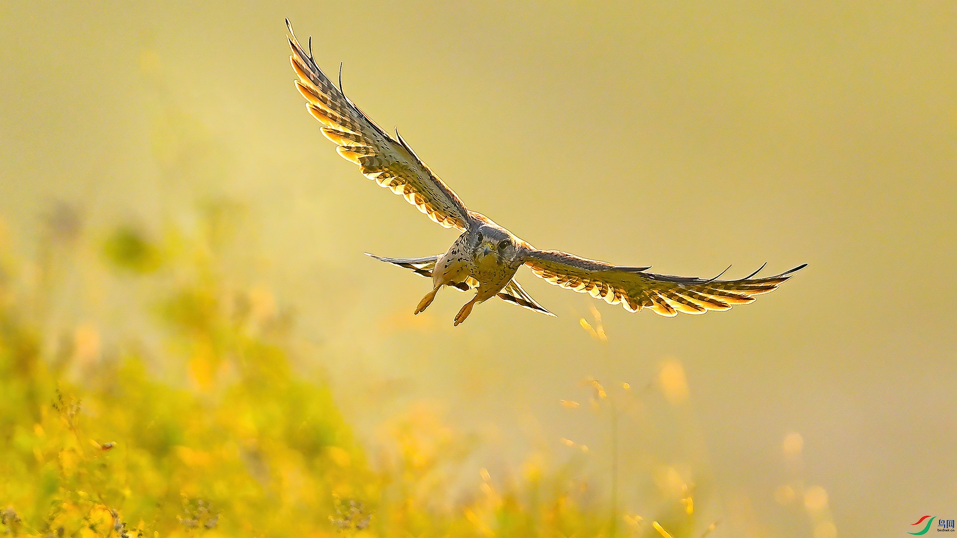 XHH_6019 ���� 3.jpg