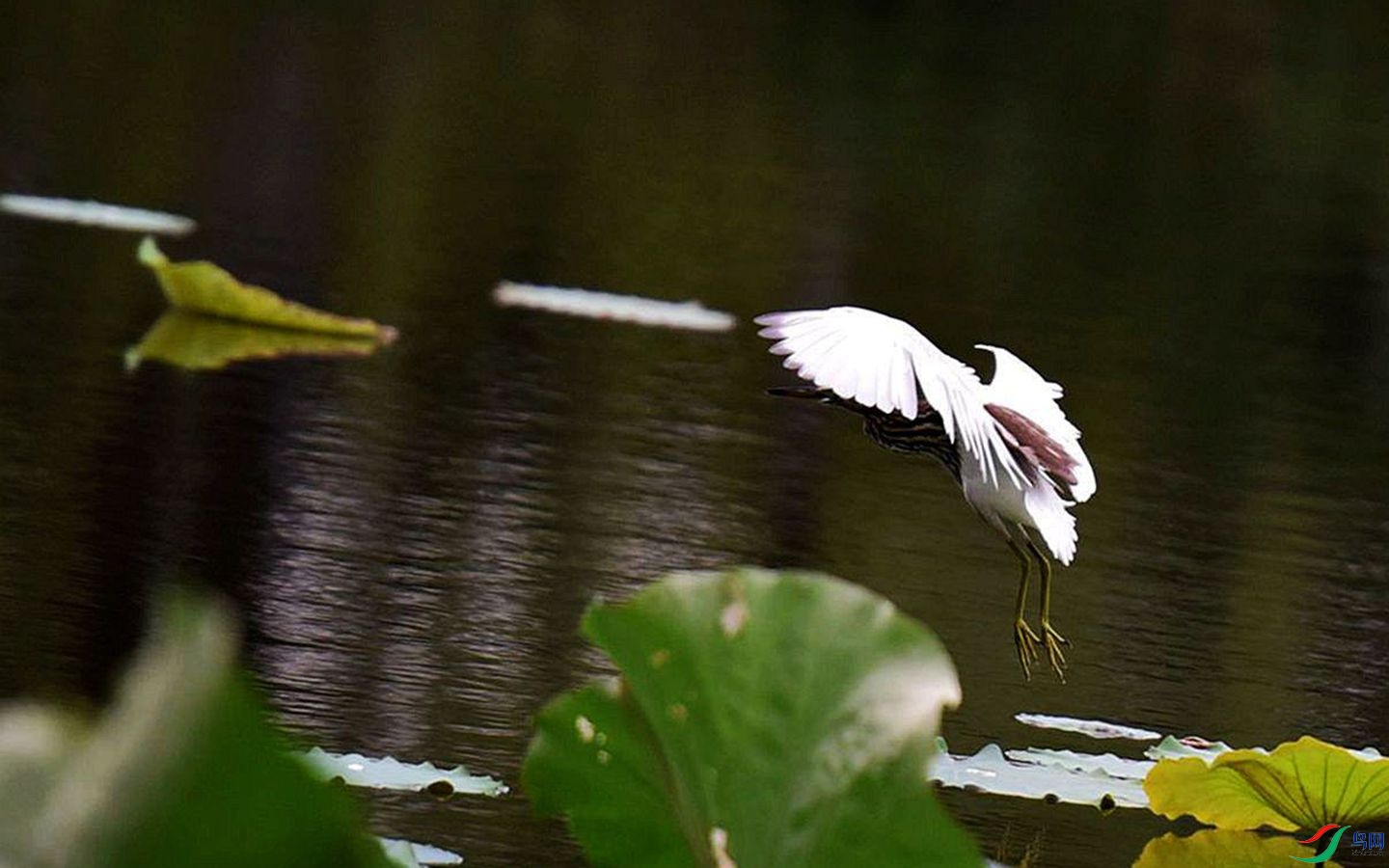 776 (53)_����.jpg