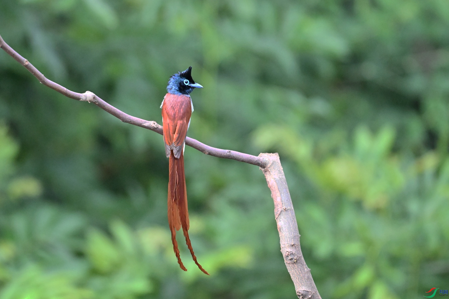 DSC_5639.JPG