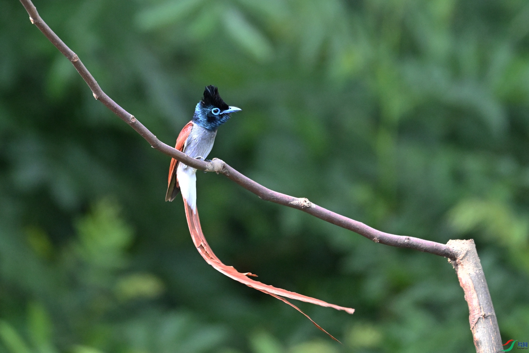 DSC_5674.JPG