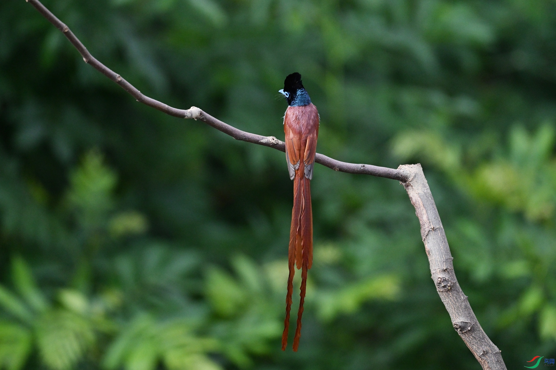DSC_5643.JPG