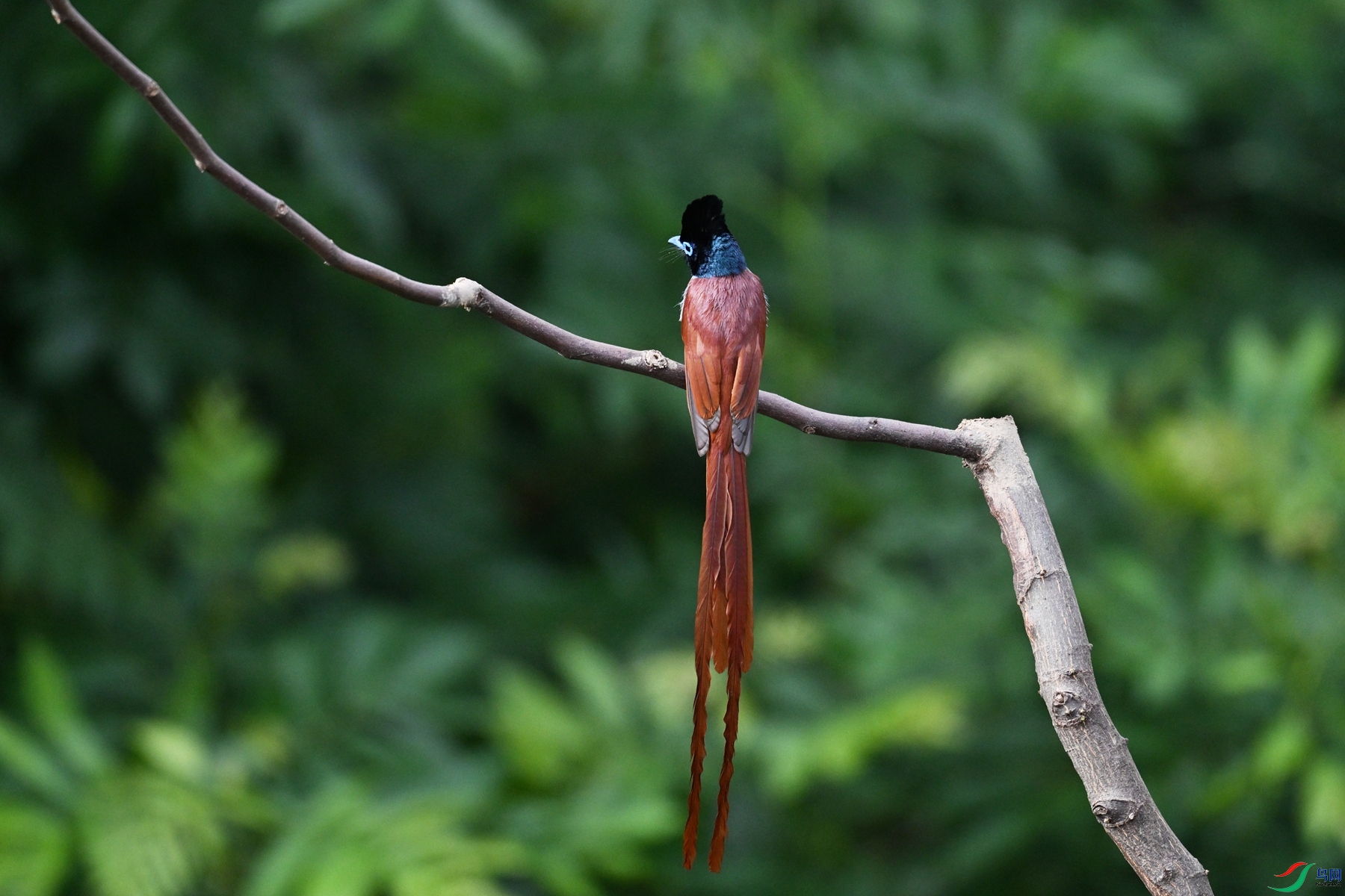 DSC_5644.JPG