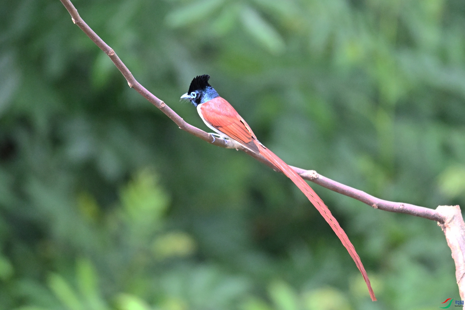 DSC_5690.JPG