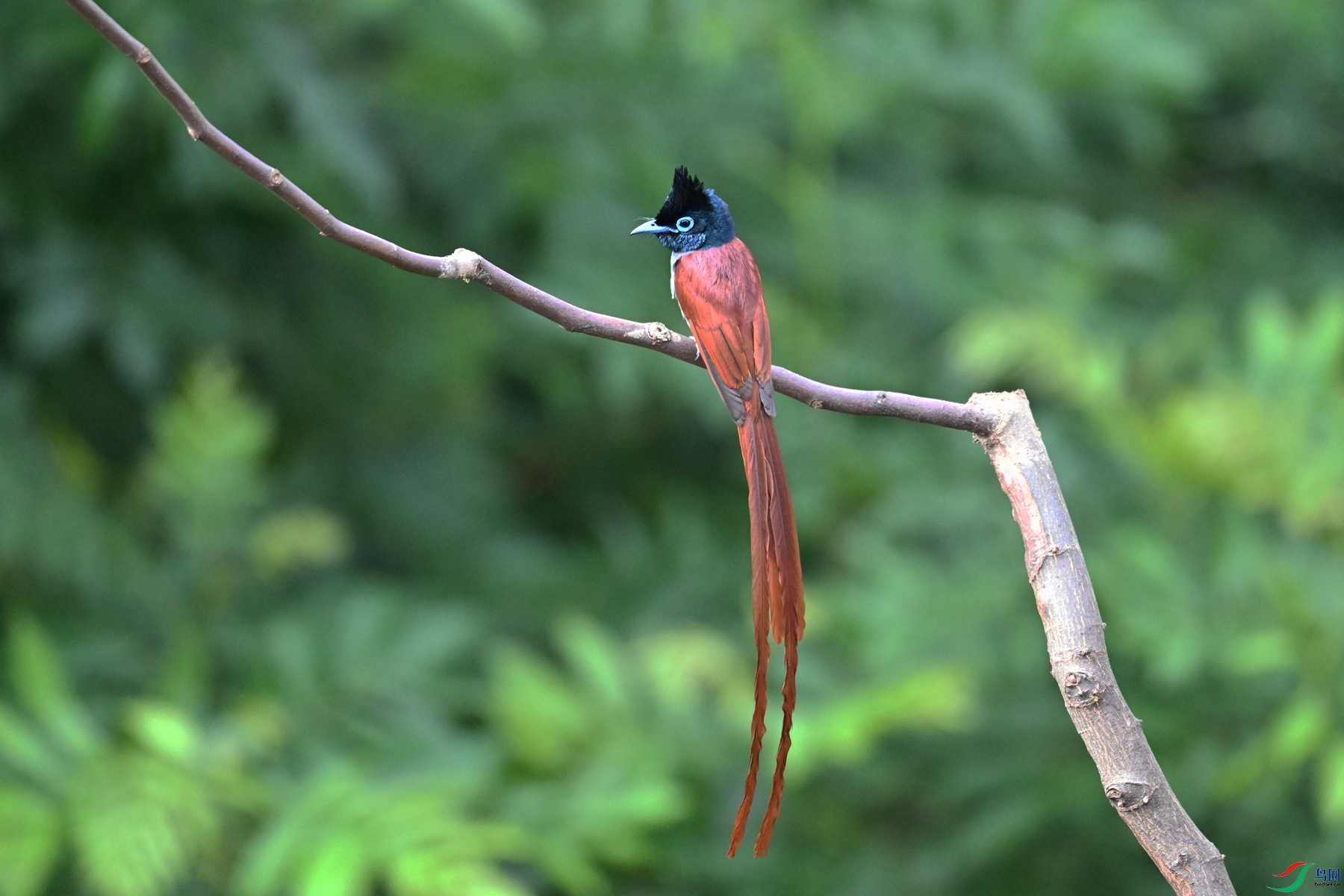 DSC_5645.JPG