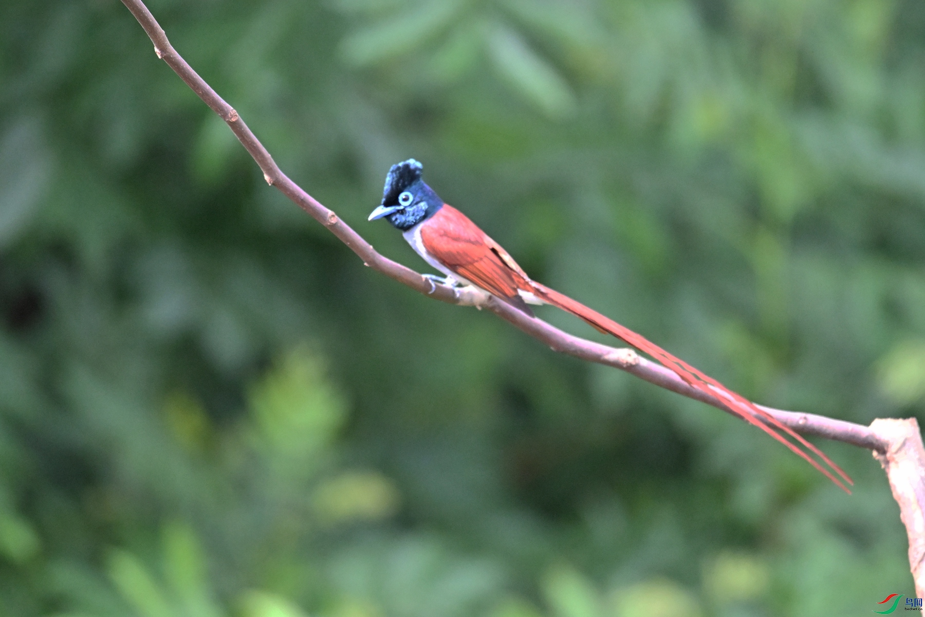 DSC_5687.JPG