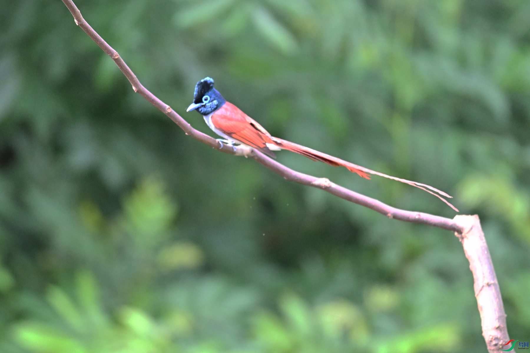 DSC_5682.JPG
