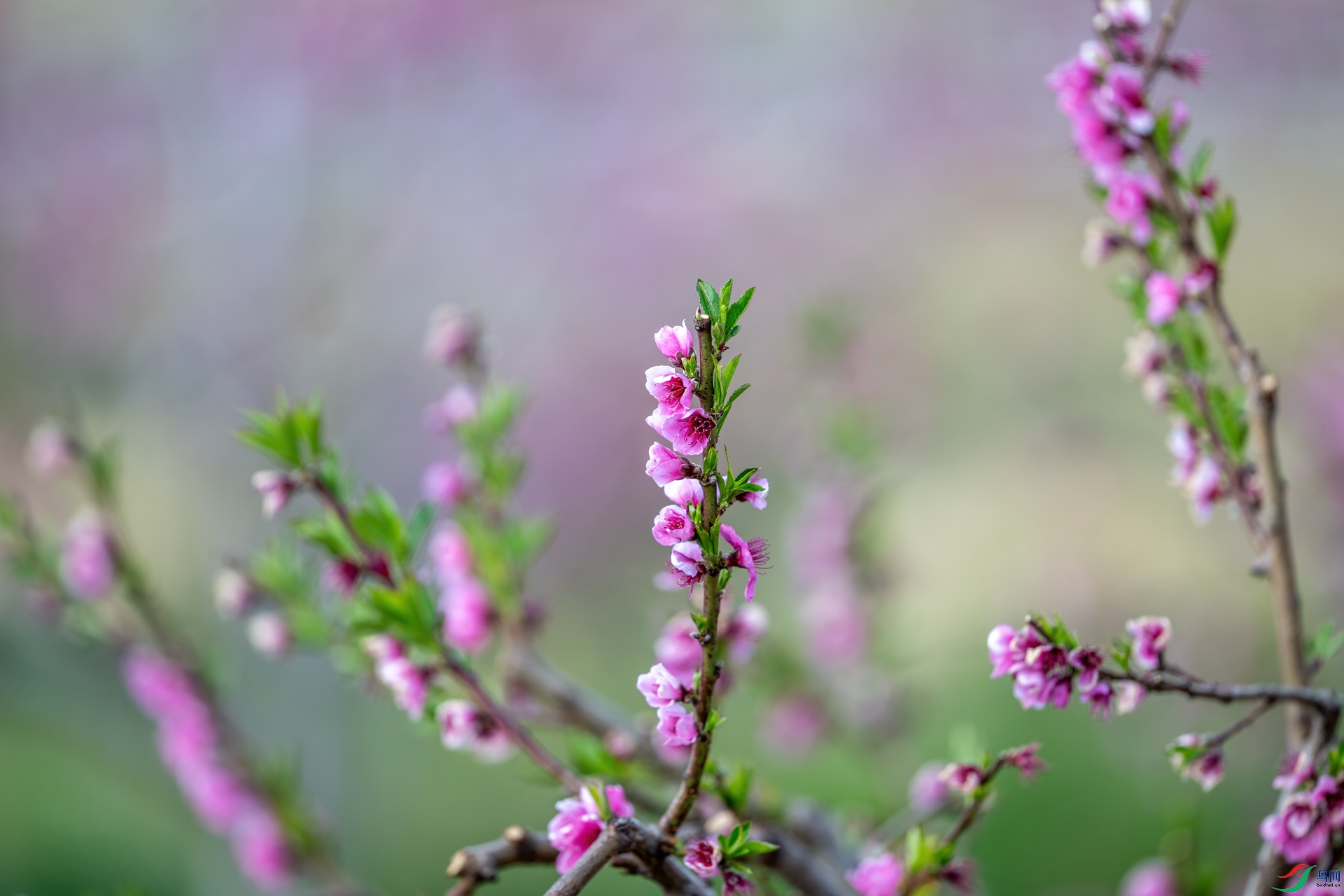 DSC_5341.jpg