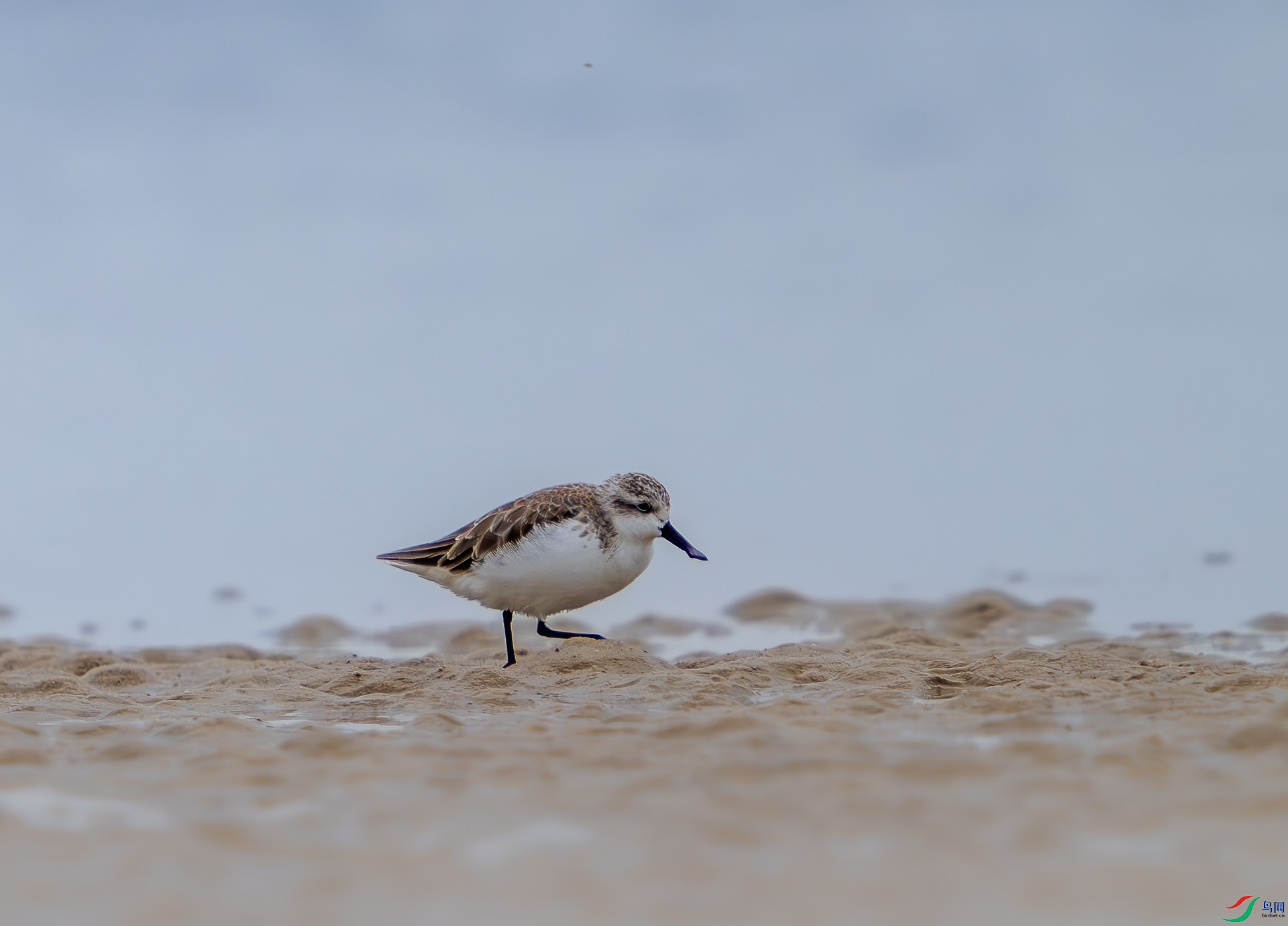 DSC_1782.jpg