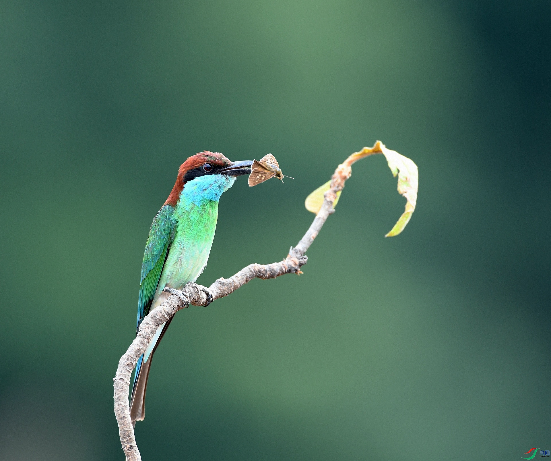DSC_5877.jpg