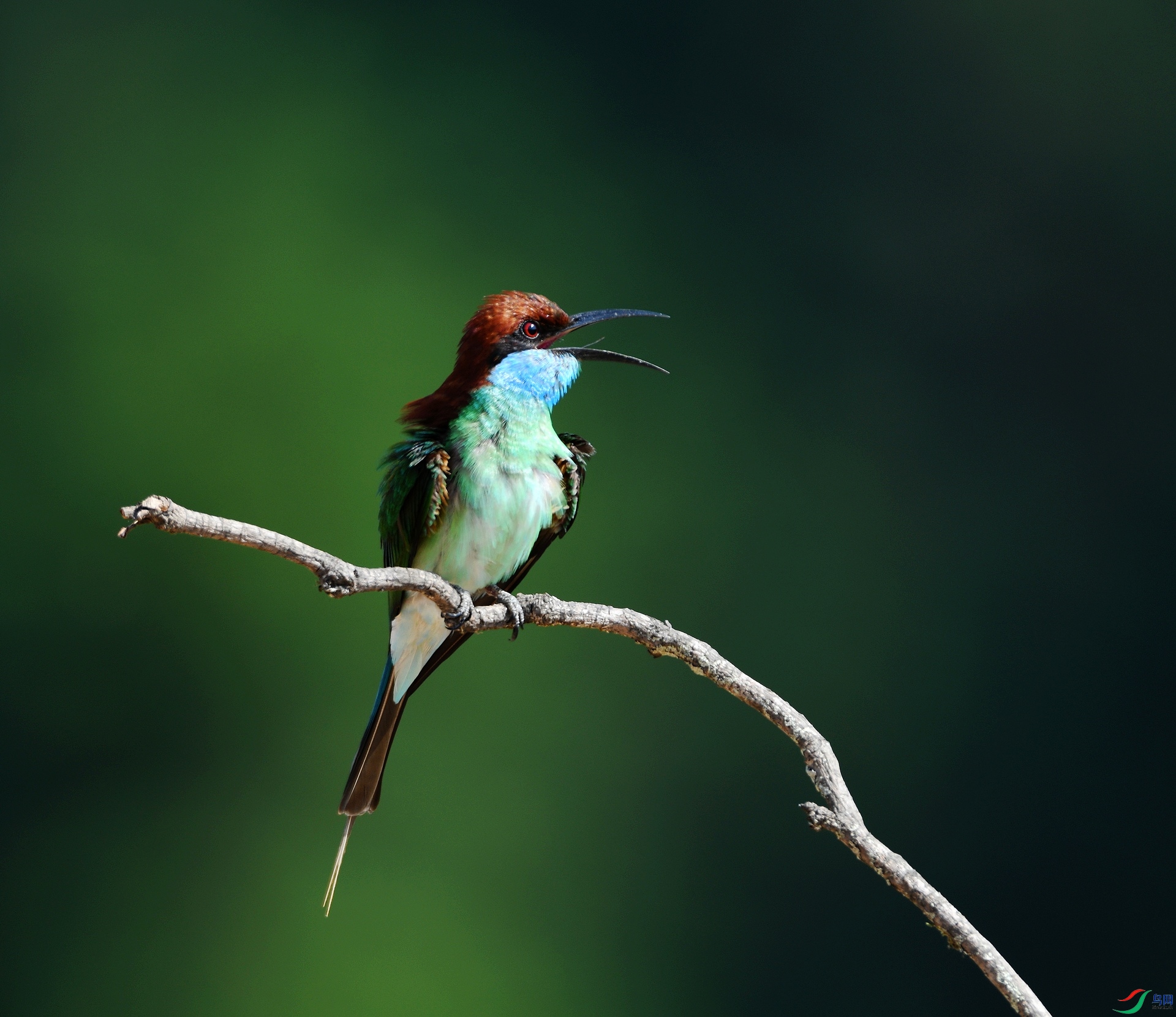DSC_6437.jpg
