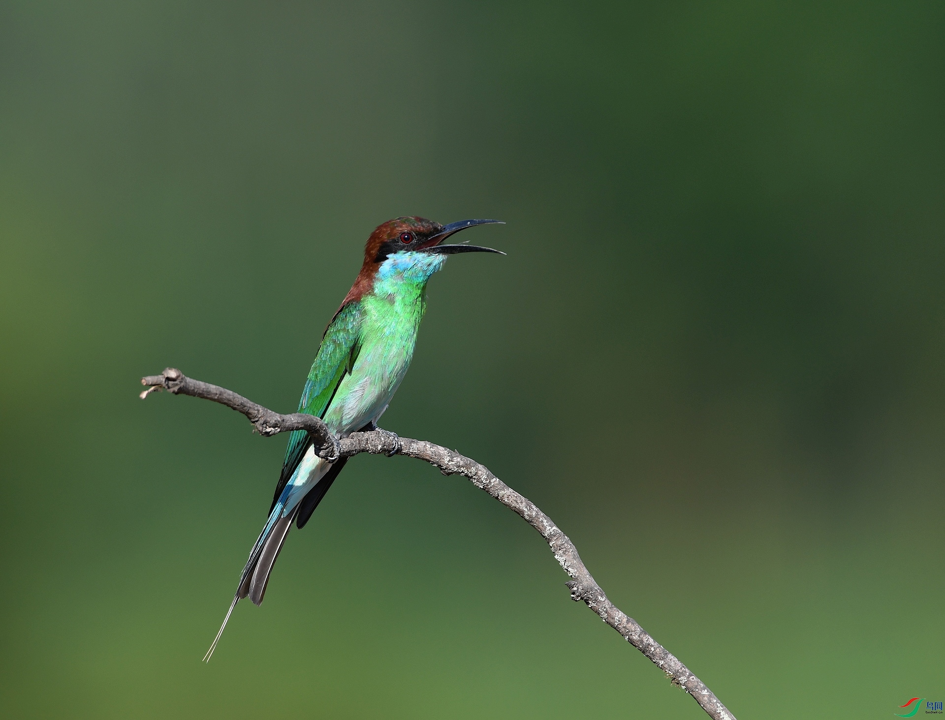 DSC_7175.jpg