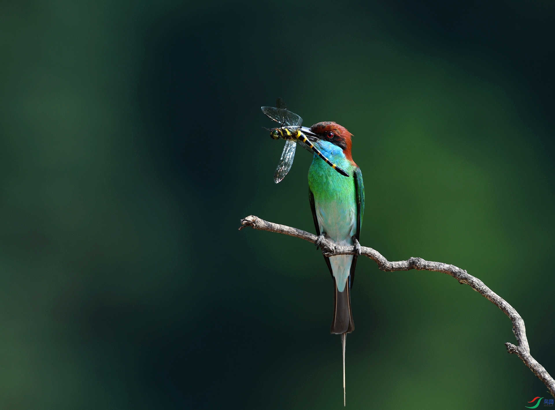 DSC_7191.jpg