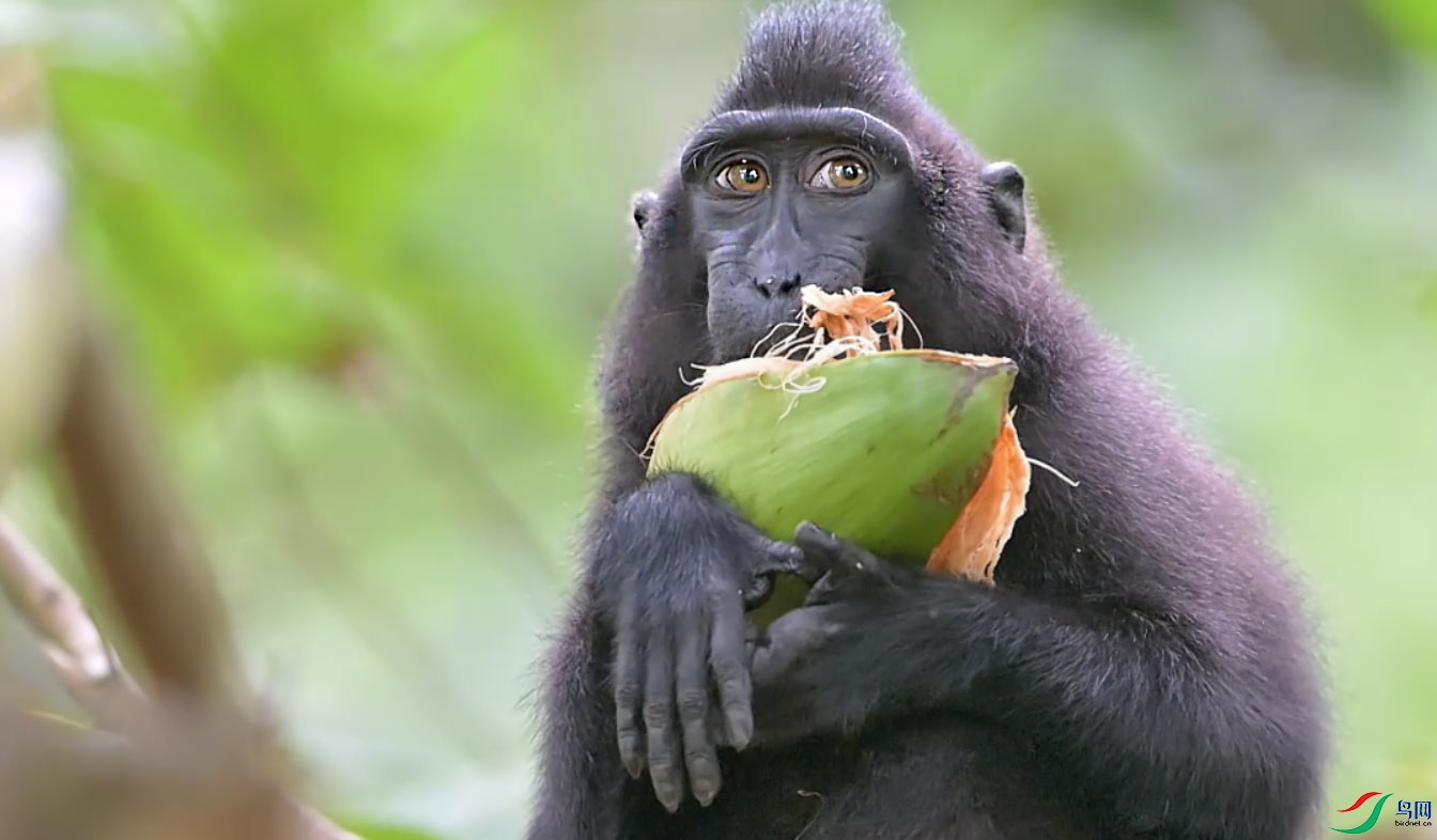 {C23B2A45-94C2-46DE-A09E-F604F59C6C9A} ����.jpg